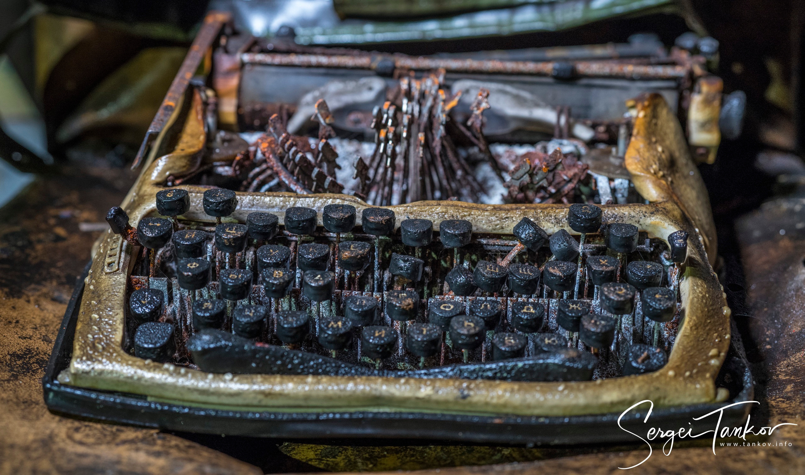 Владивосток (сентябрь 2019). Фотограф Сергей Танков