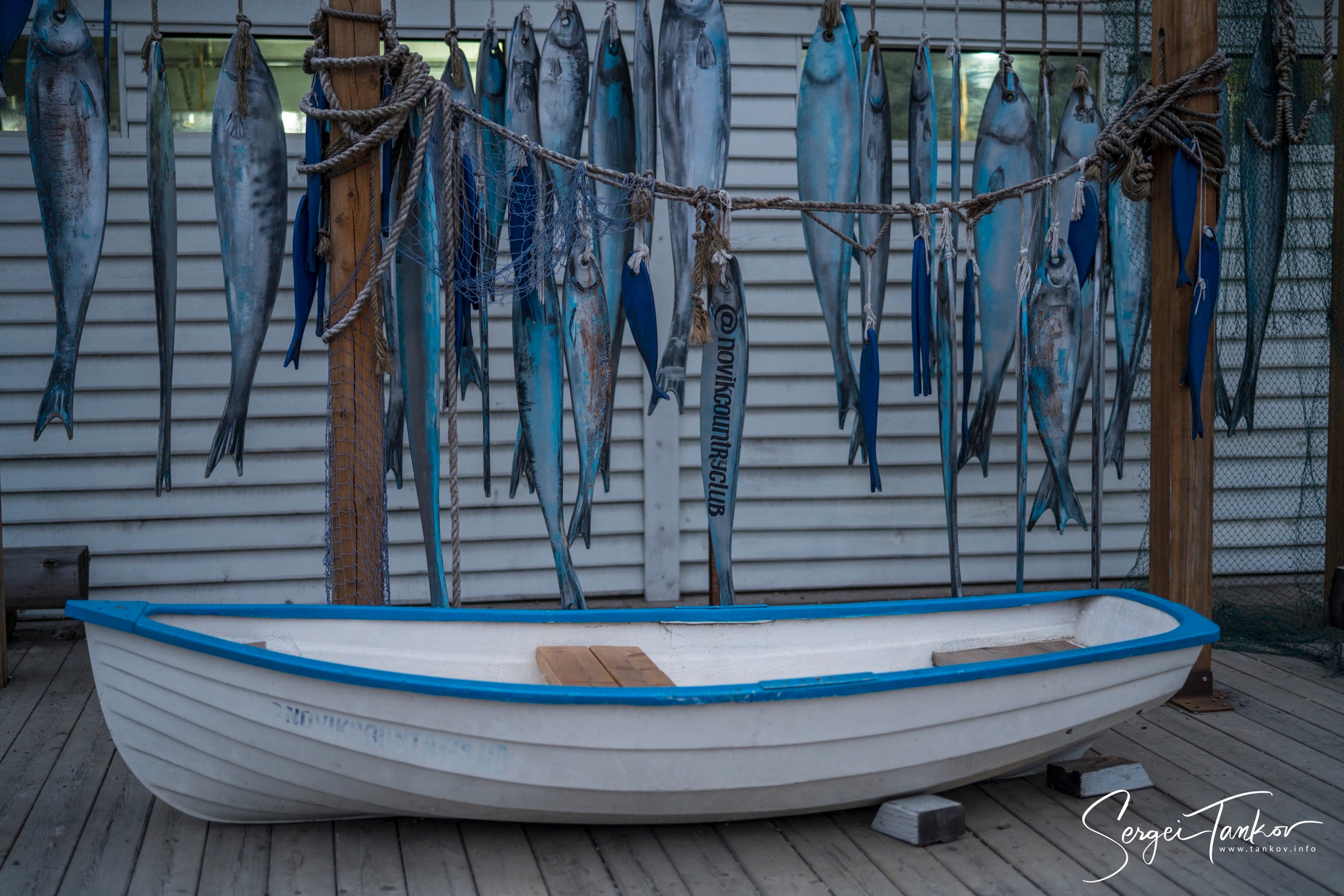 Владивосток (сентябрь 2019). Фотограф Сергей Танков