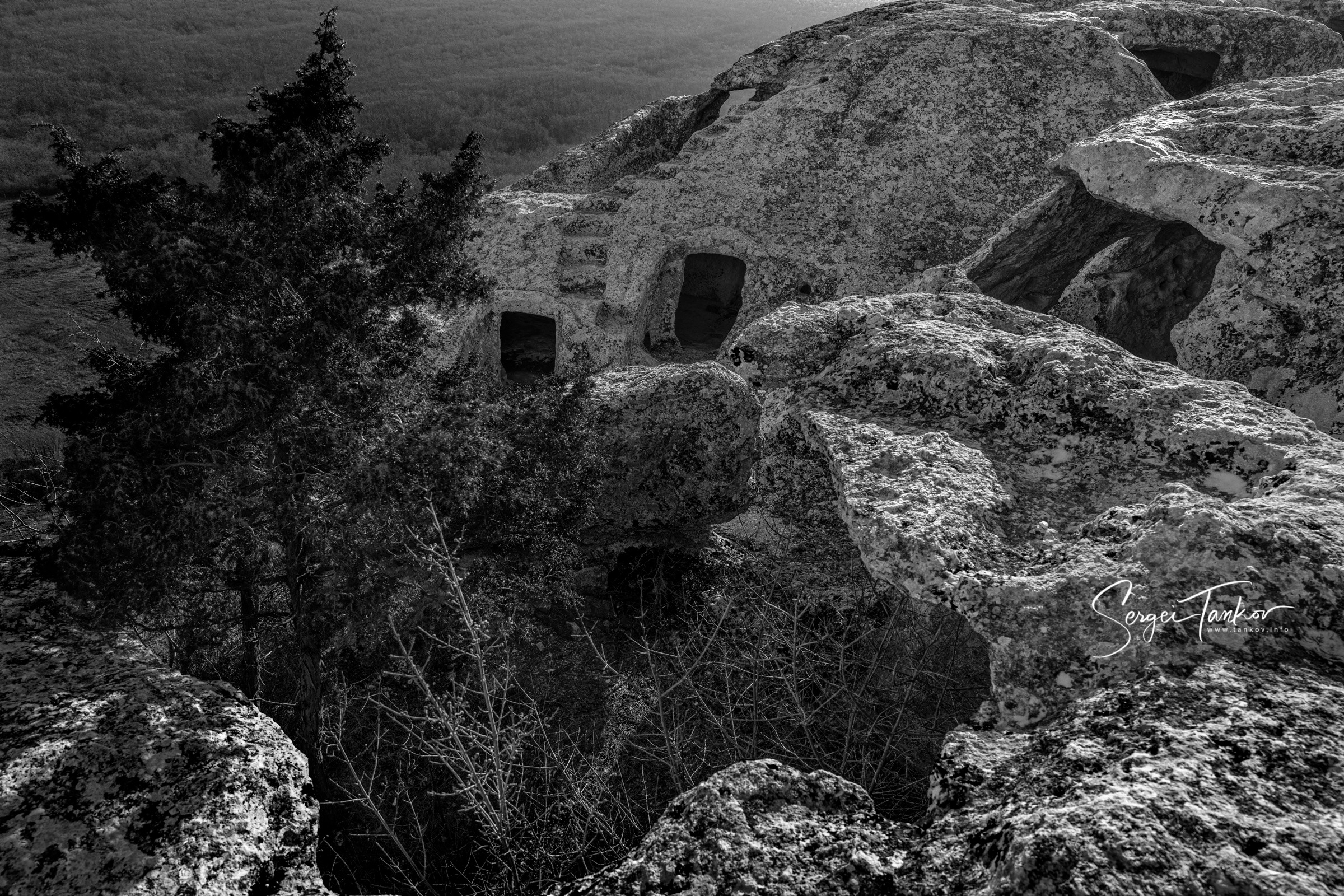 Крым (январь 2020). Фотограф Сергей Танков