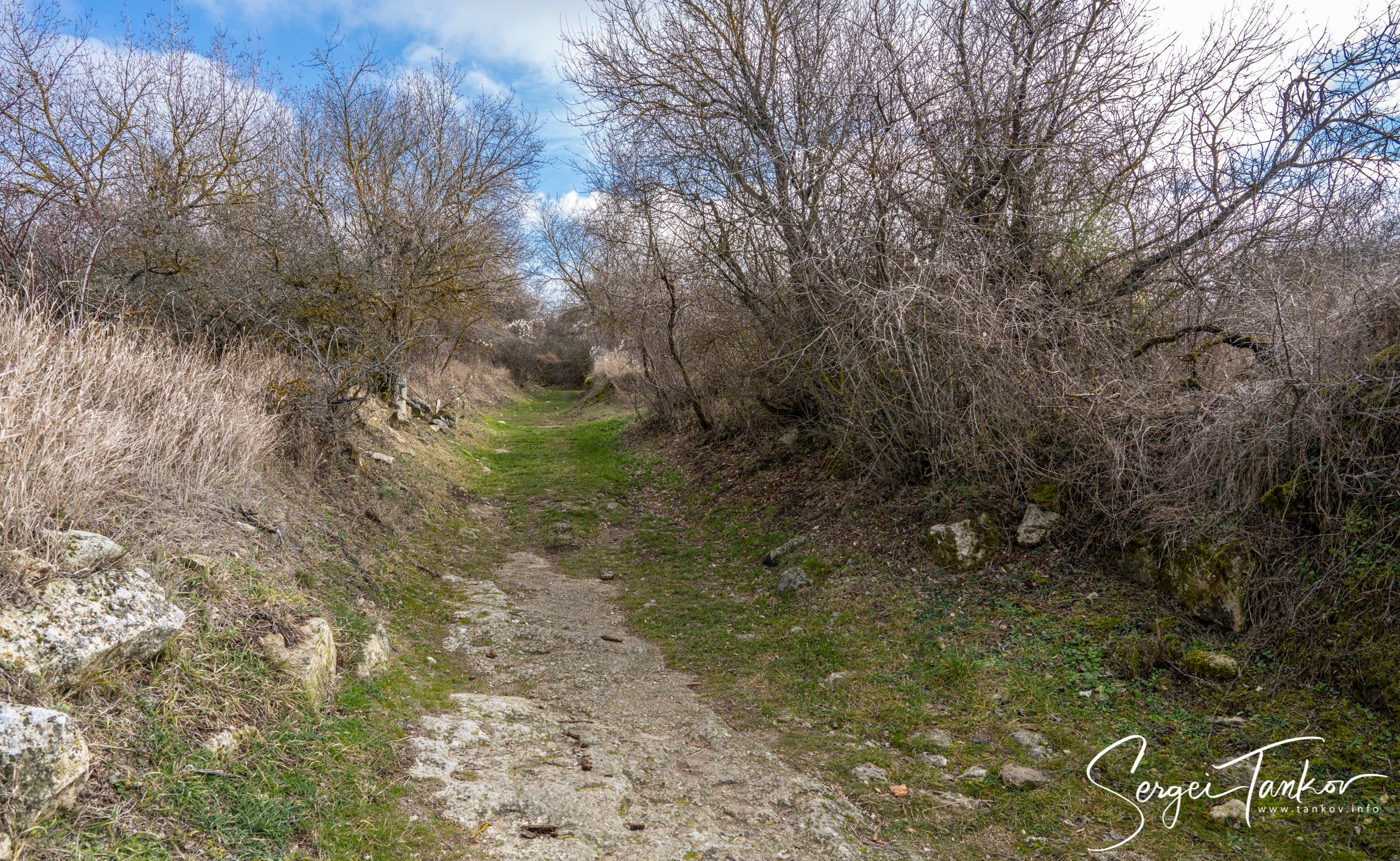 Крым (январь 2020). Фотограф Сергей Танков
