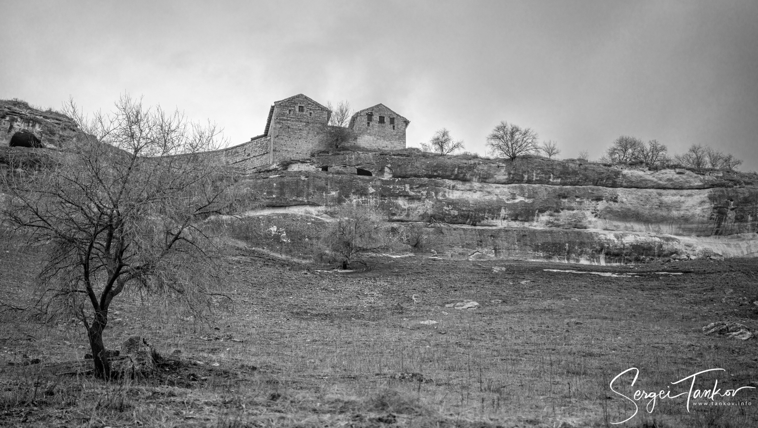 Крым (январь 2020). Фотограф Сергей Танков