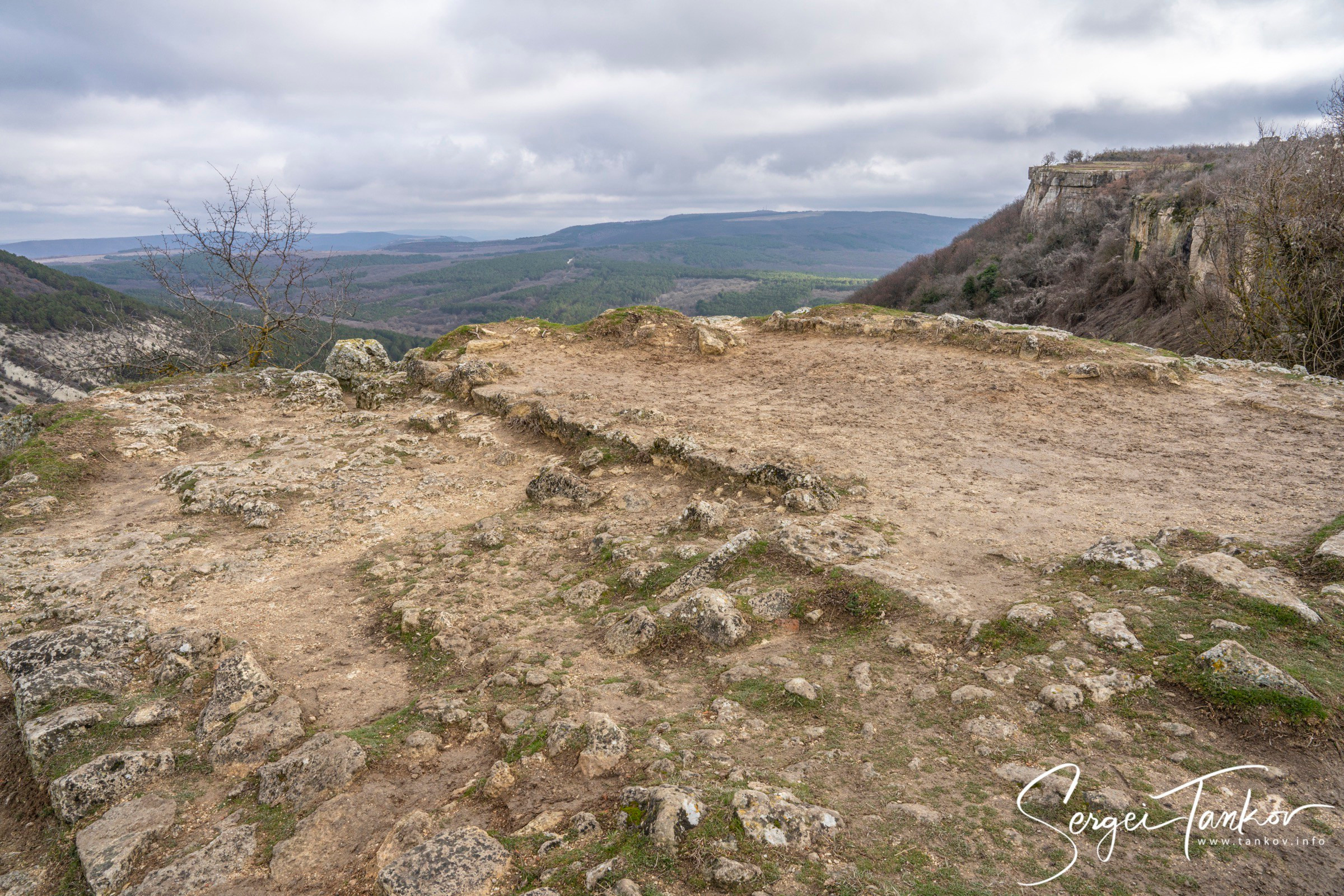 Крым (январь 2020). Фотограф Сергей Танков
