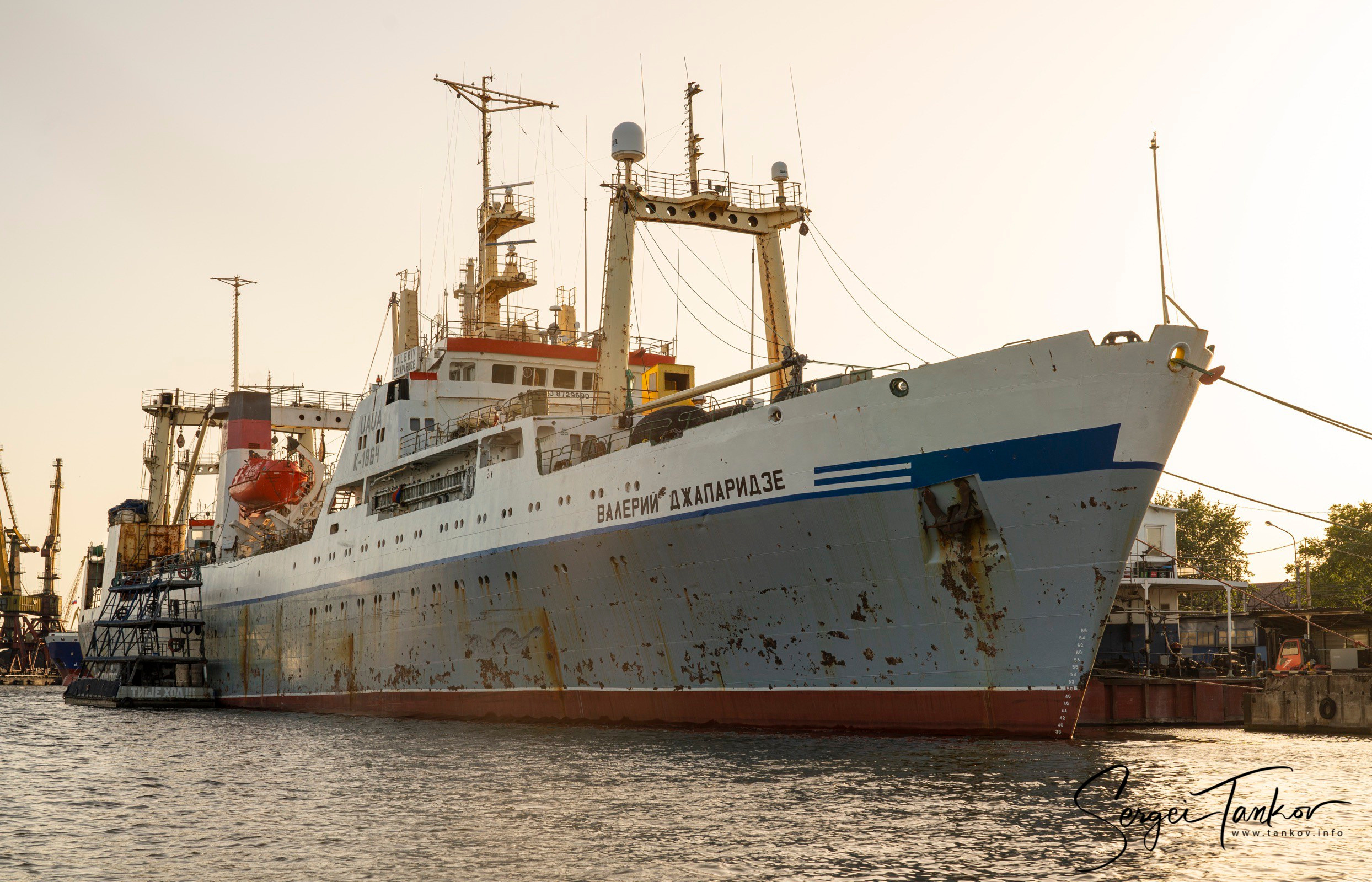 Калининград (июнь 2019). Фотограф Сергей Танков