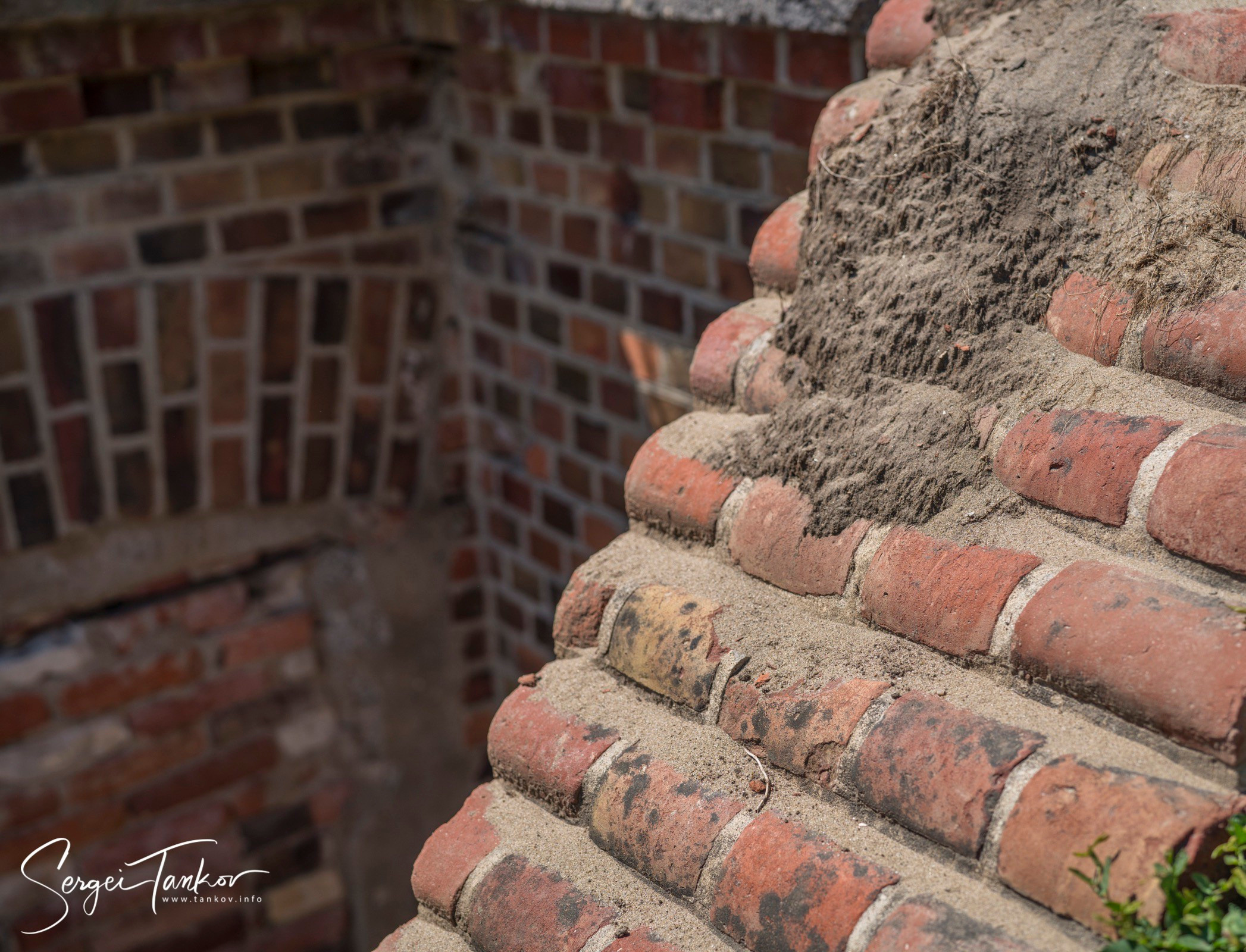 Калининград (июнь 2019). Фотограф Сергей Танков