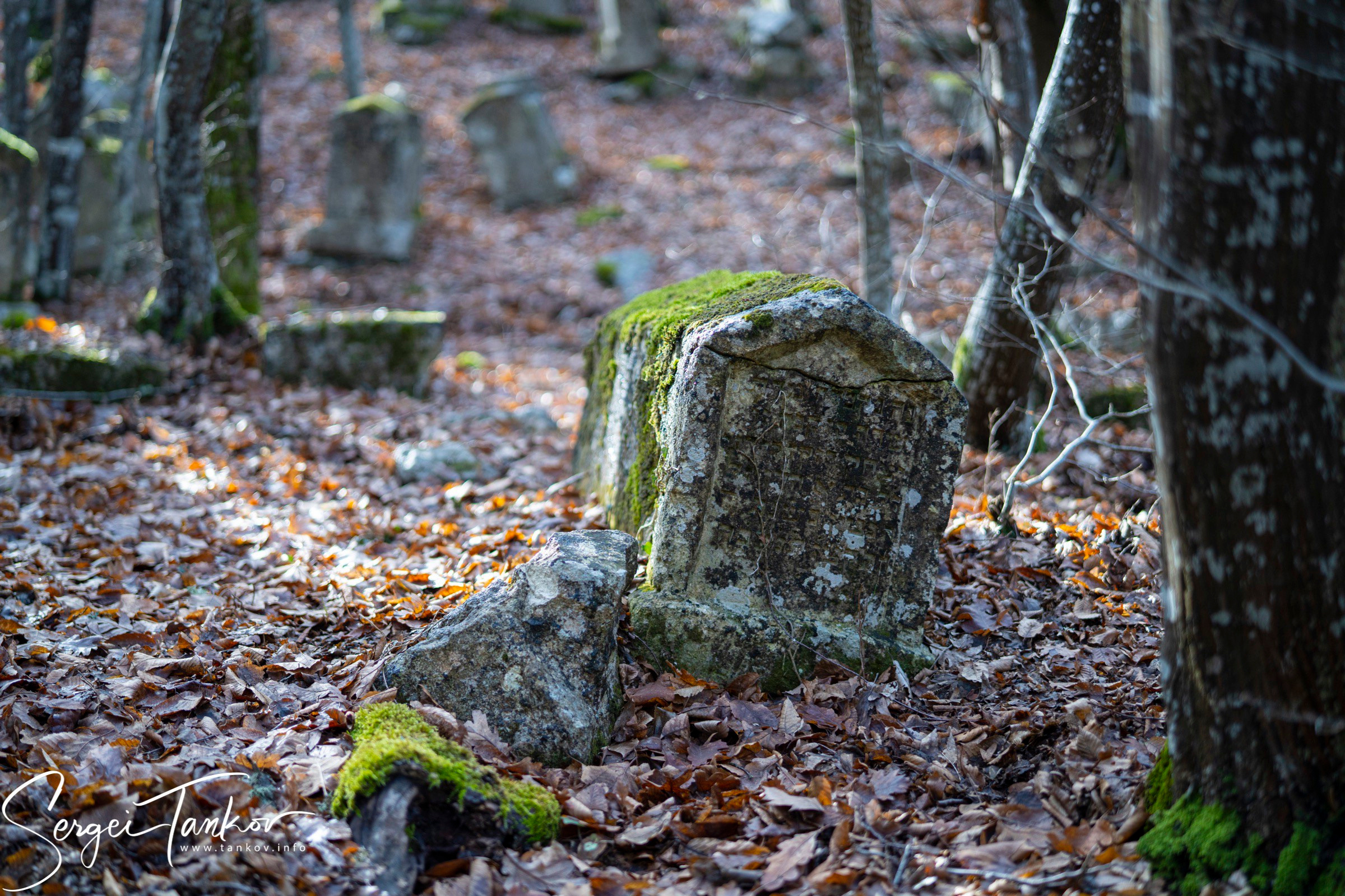 Крым (январь 2020). Фотограф Сергей Танков