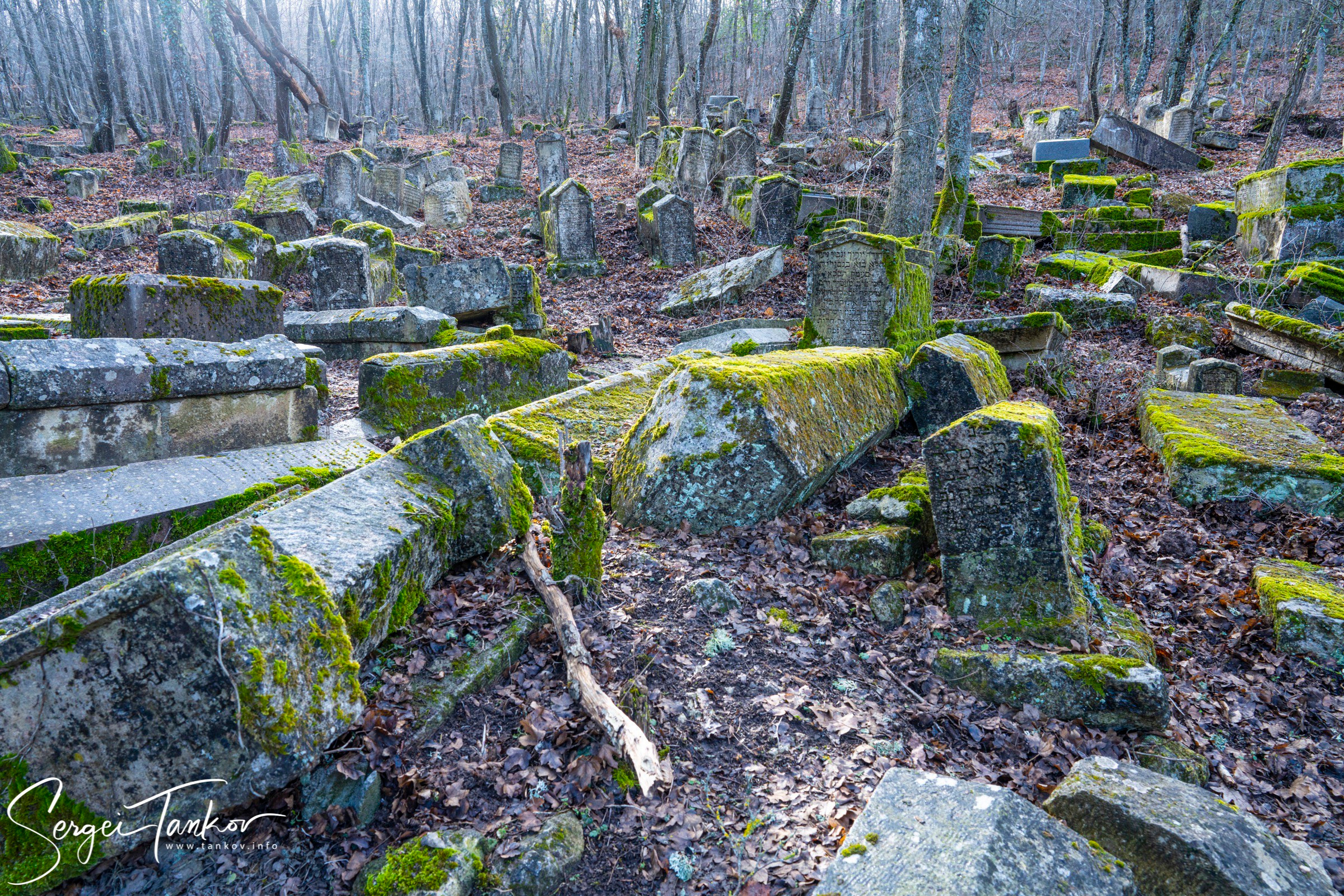 Крым (январь 2020). Фотограф Сергей Танков
