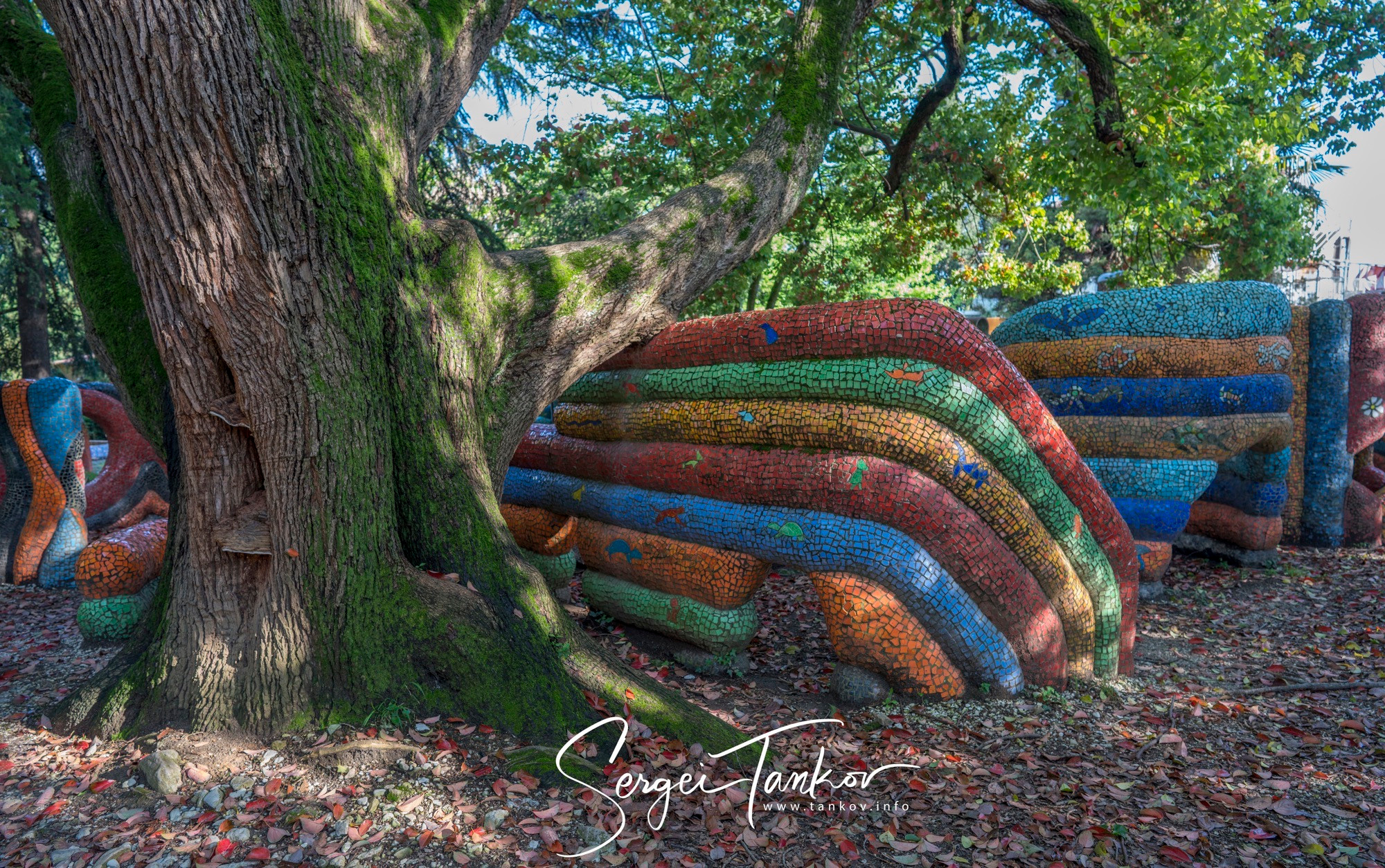 Абхазия (май 2019). Фотограф Сергей Танков