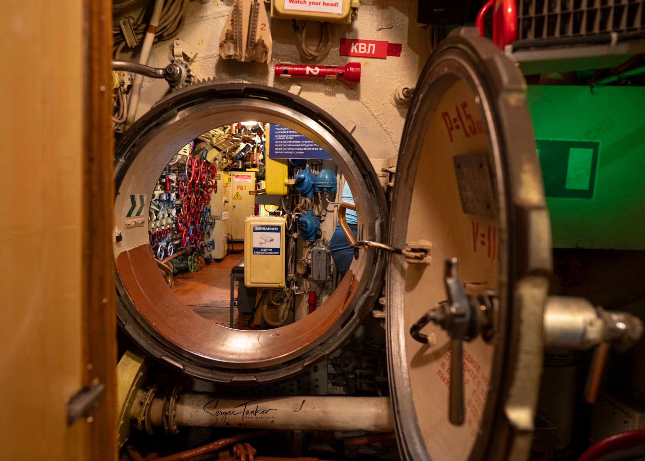 Калининград (июнь 2019). Фотограф Сергей Танков