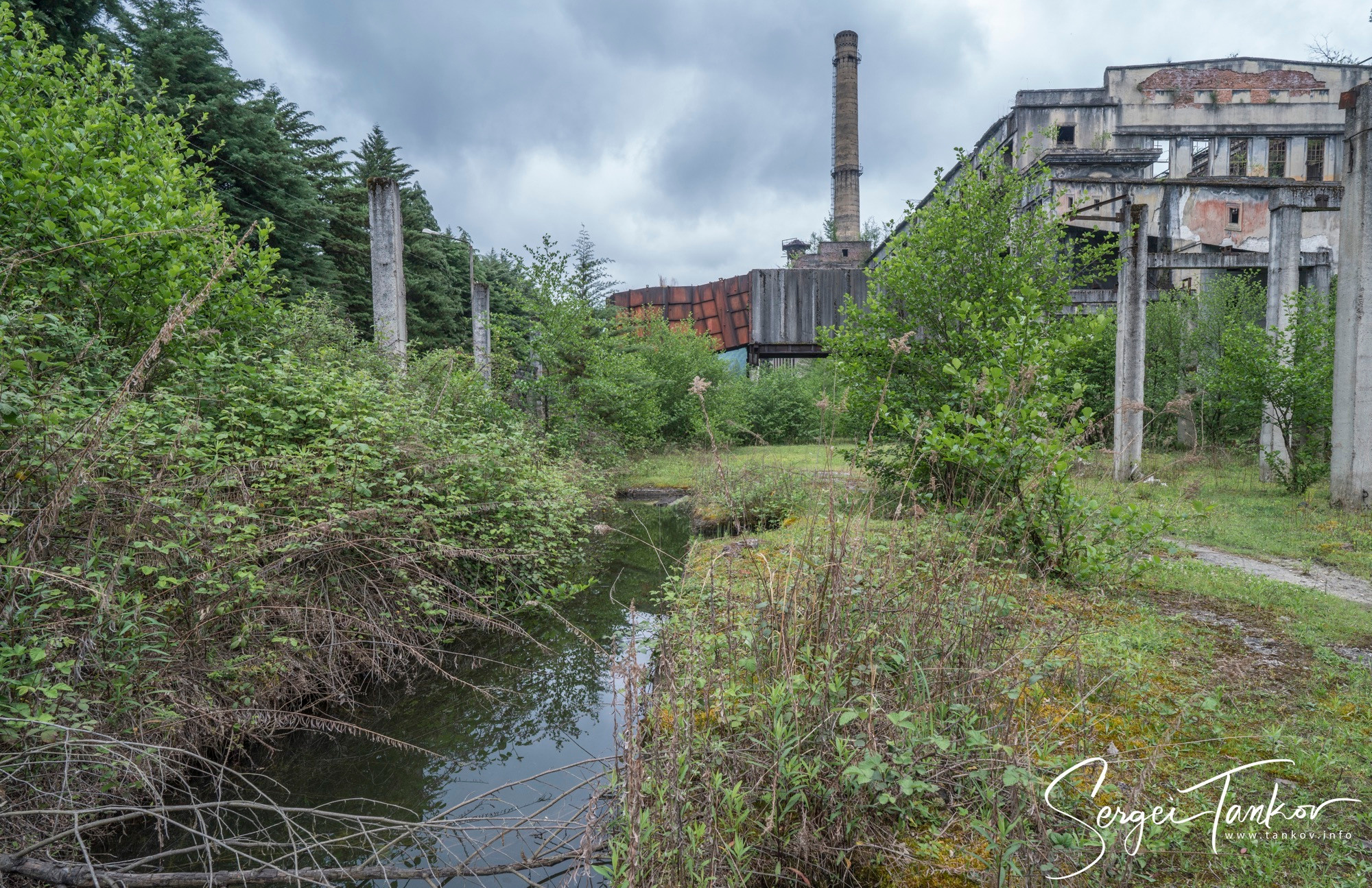 Абхазия (май 2019). Фотограф Сергей Танков
