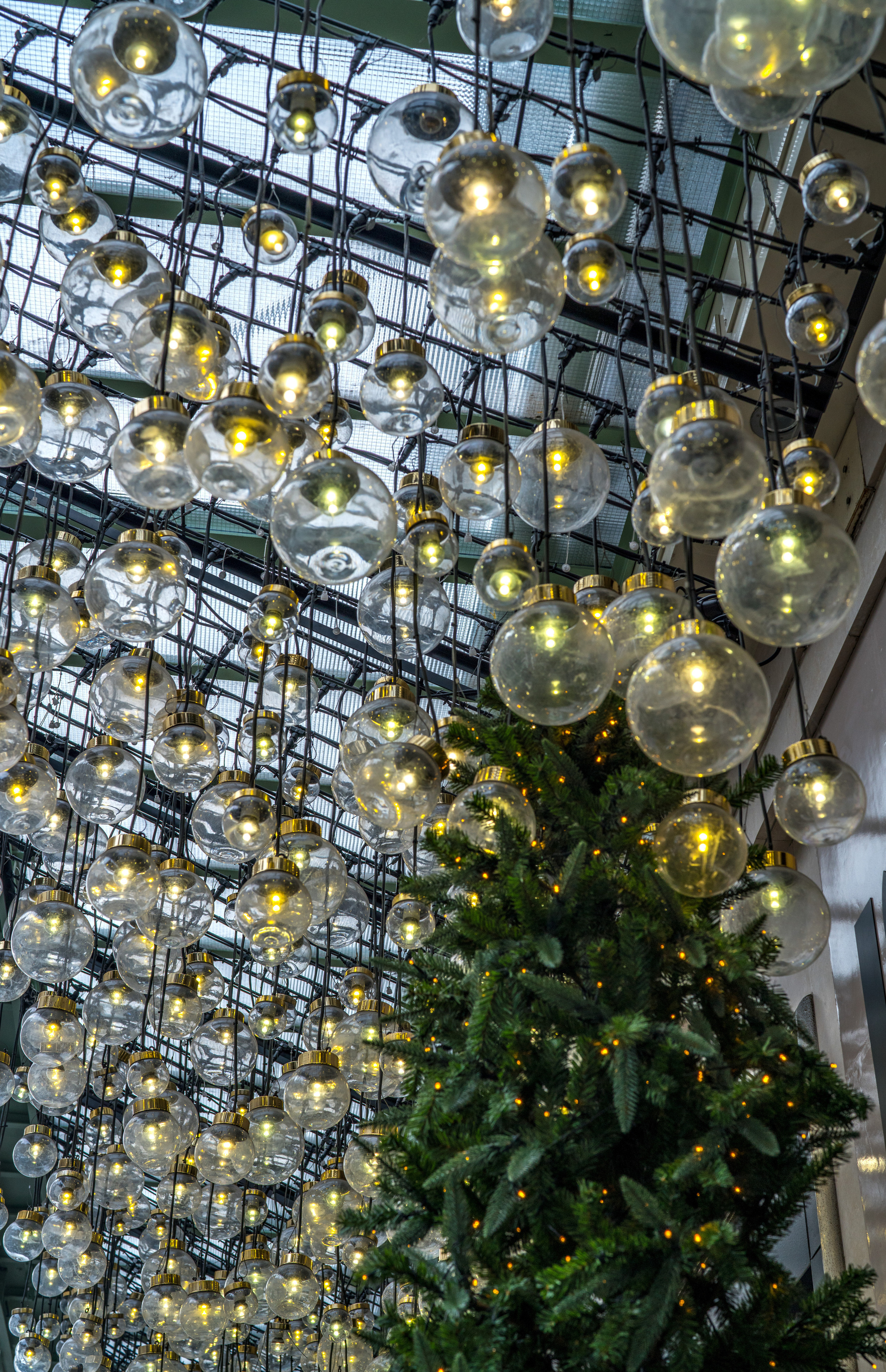 Париж (январь 2019). Фотограф Сергей Танков