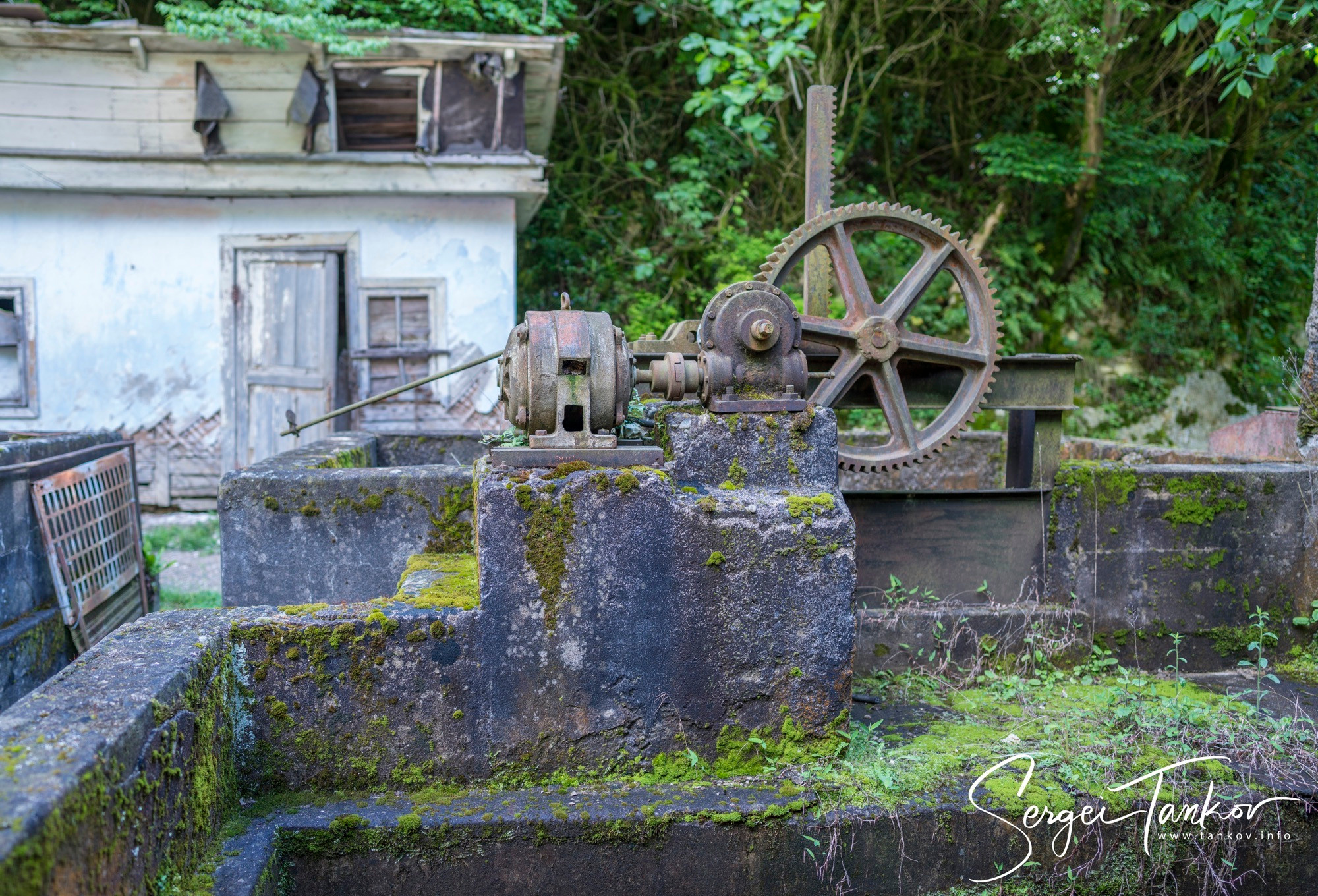 Абхазия (май 2019). Фотограф Сергей Танков