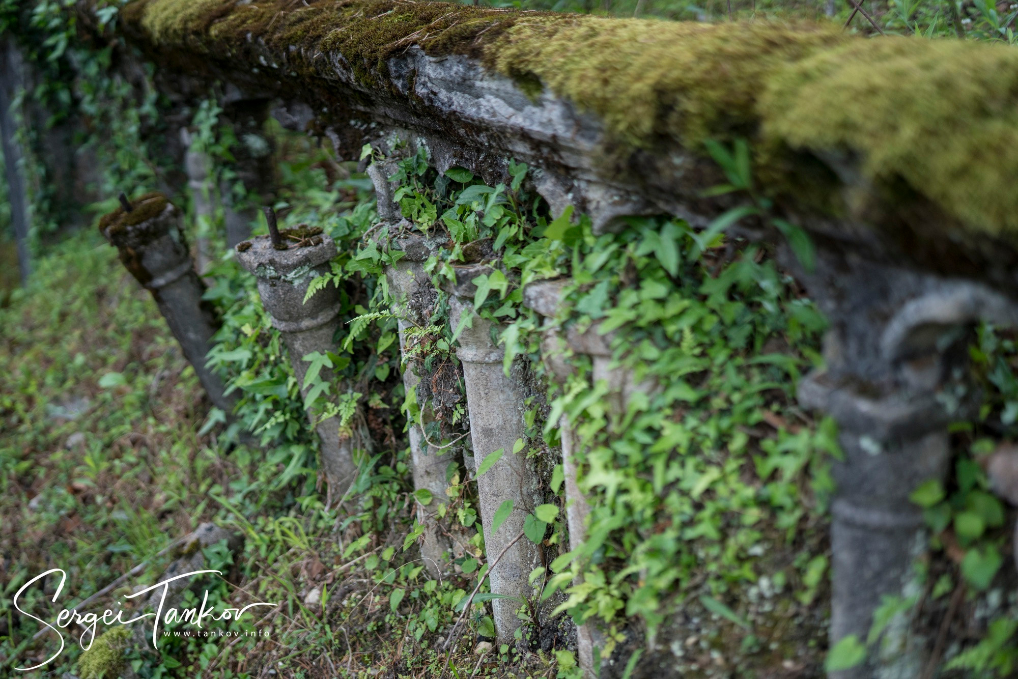 Абхазия (май 2019). Фотограф Сергей Танков