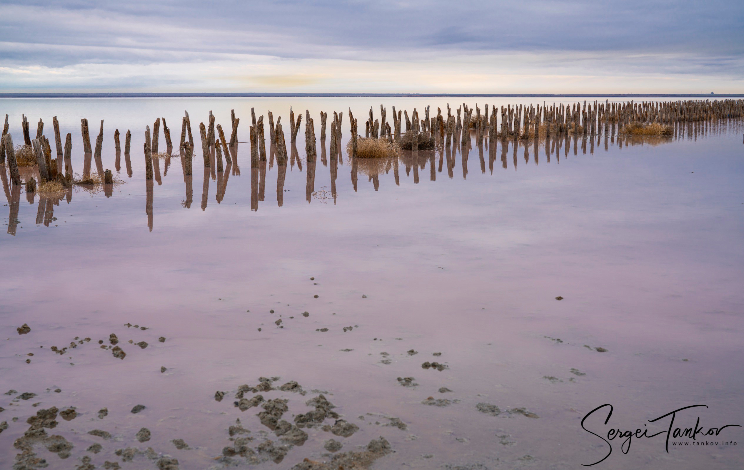 Крым (январь 2020). Фотограф Сергей Танков