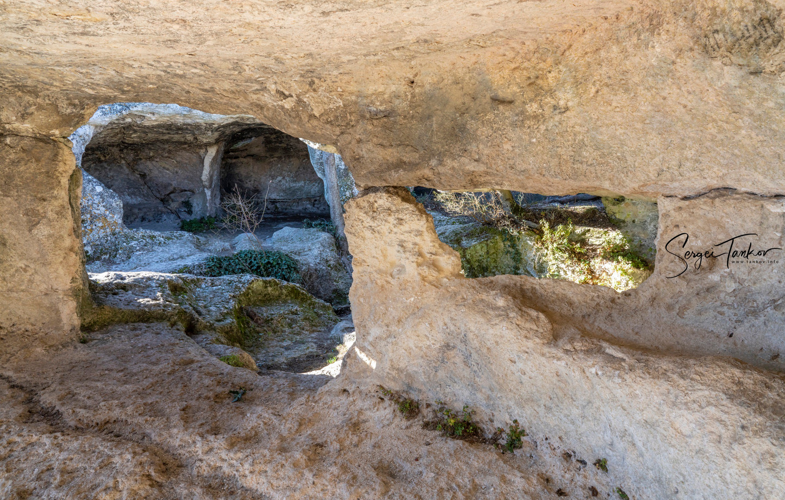 Крым (январь 2020). Фотограф Сергей Танков