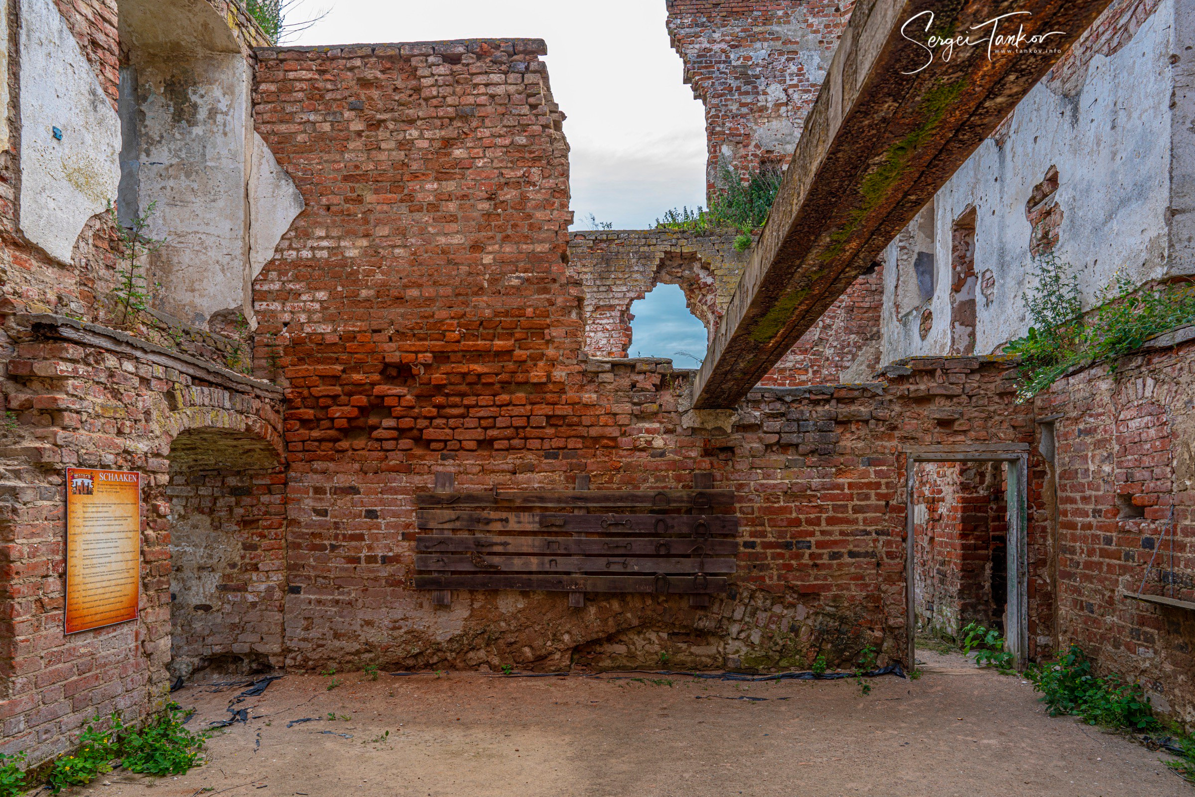 Калининград (июнь 2019). Фотограф Сергей Танков