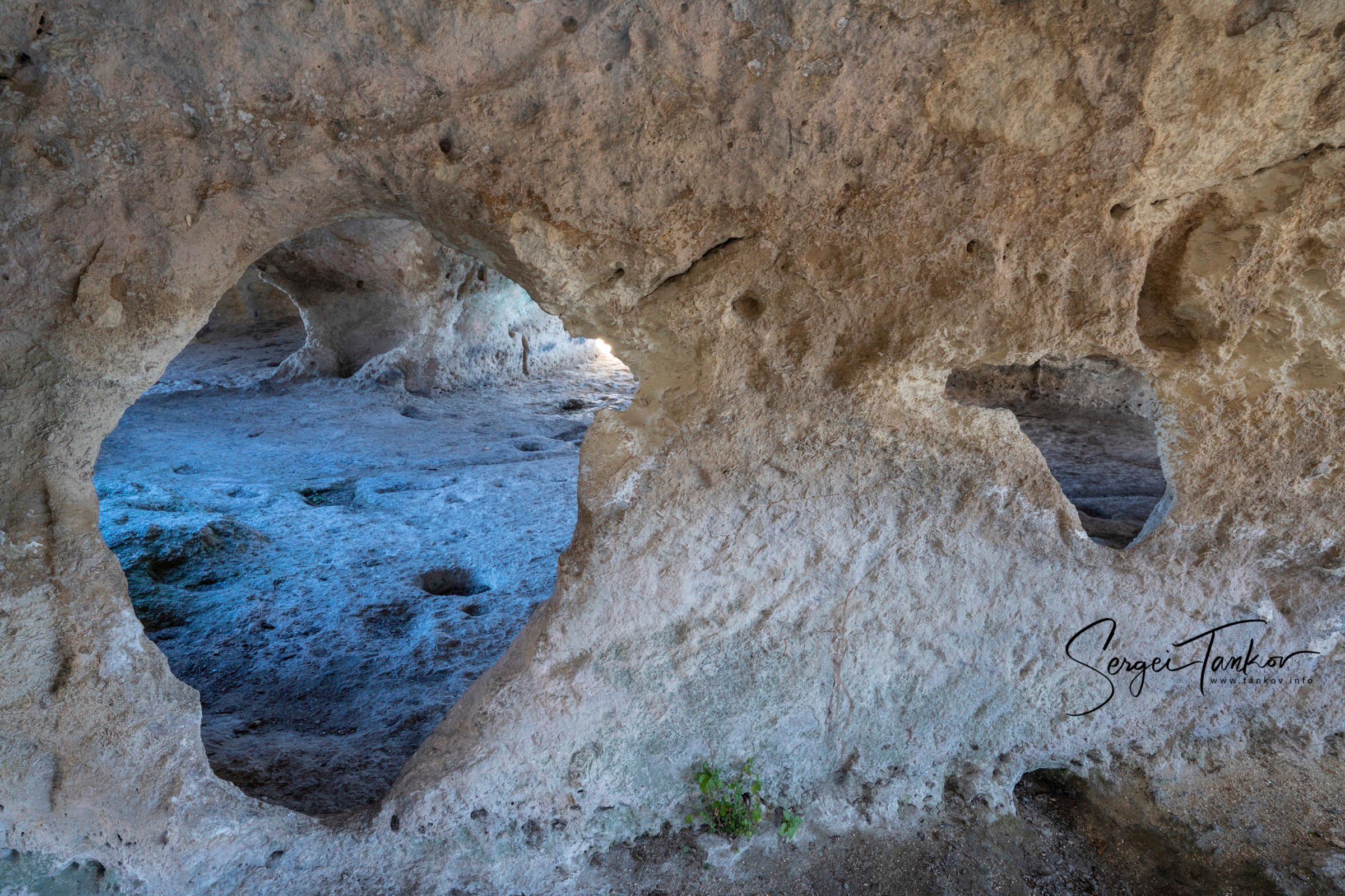 Крым (январь 2020). Фотограф Сергей Танков