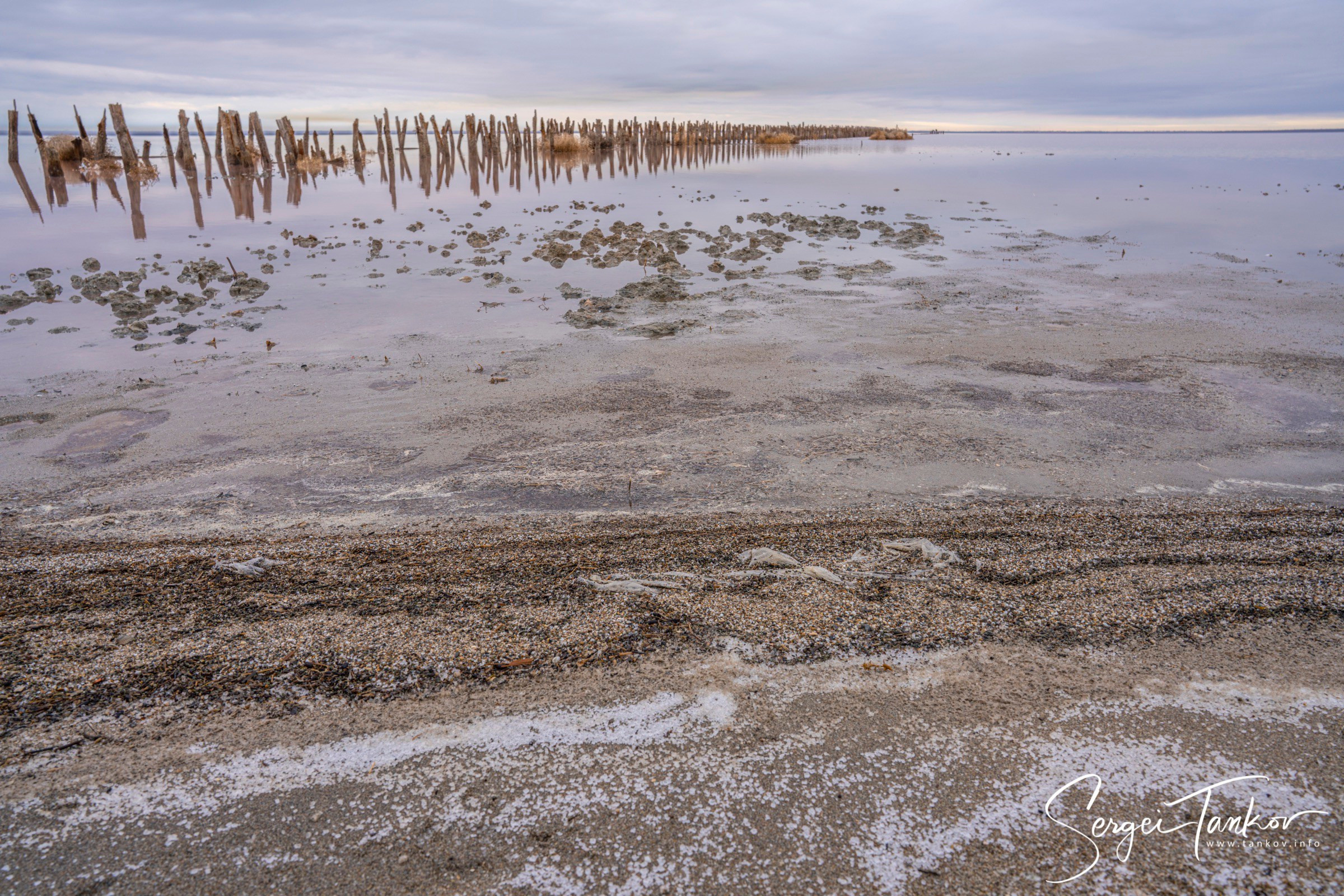 Крым (январь 2020). Фотограф Сергей Танков