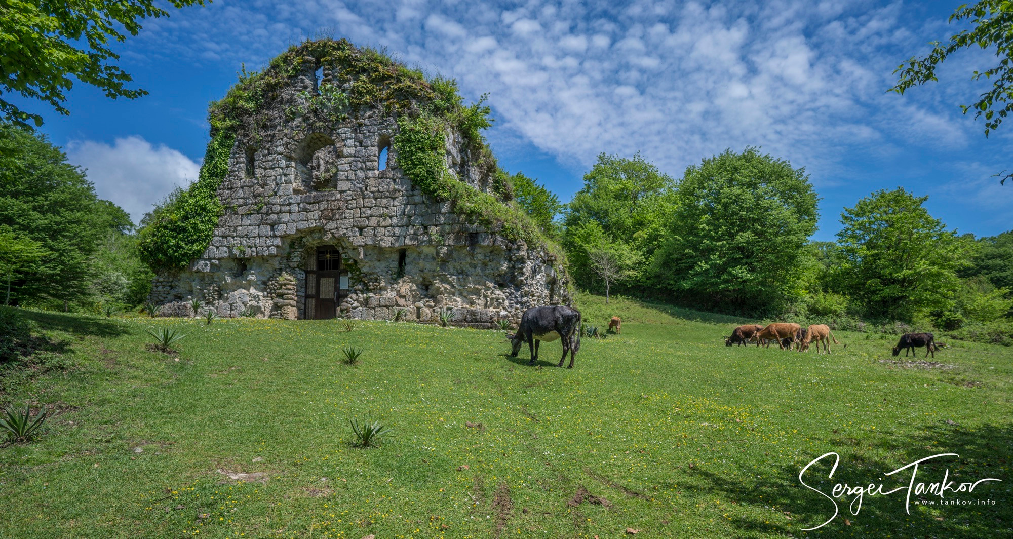 Абхазия (май 2019). Фотограф Сергей Танков
