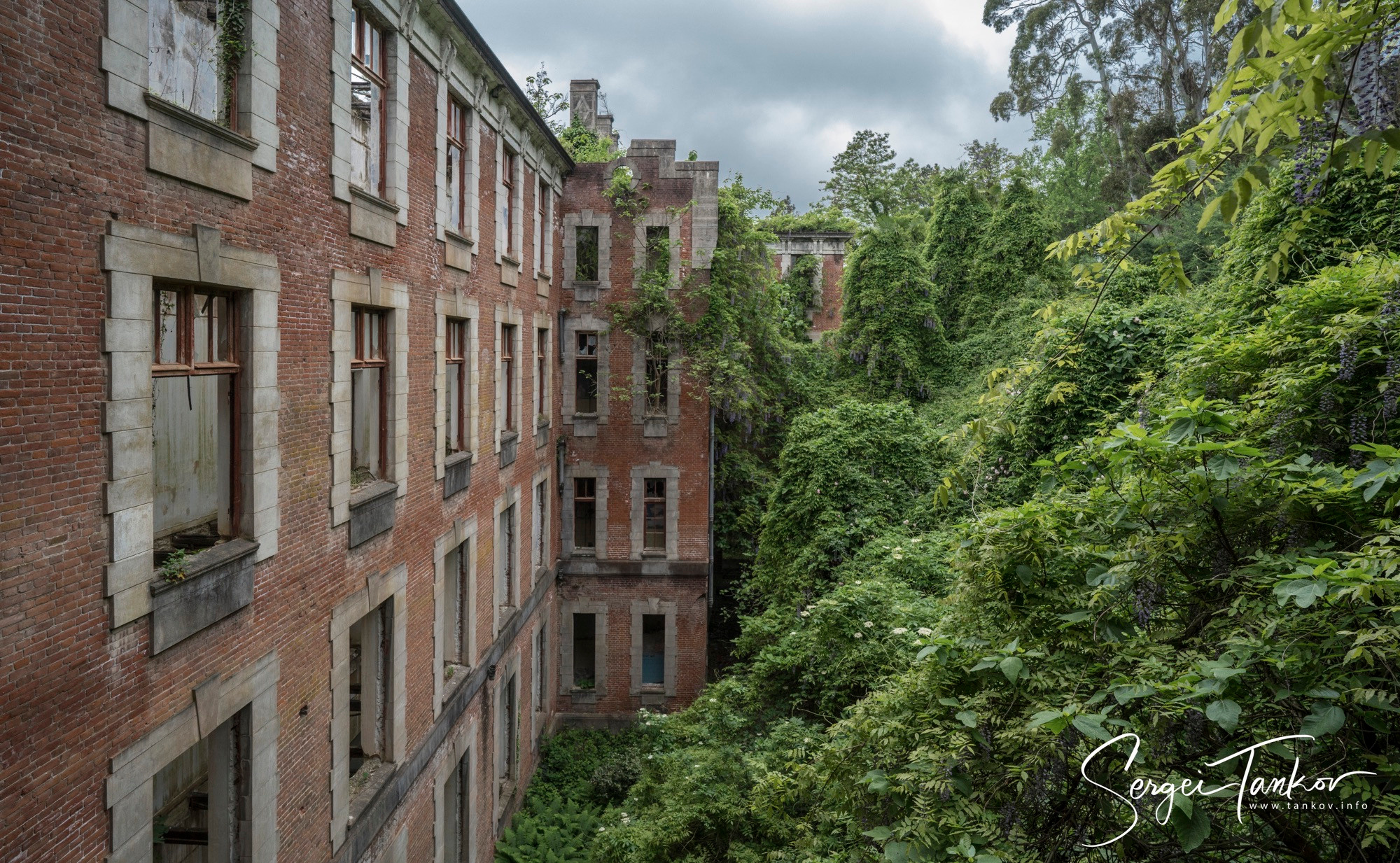 Абхазия (май 2019). Фотограф Сергей Танков