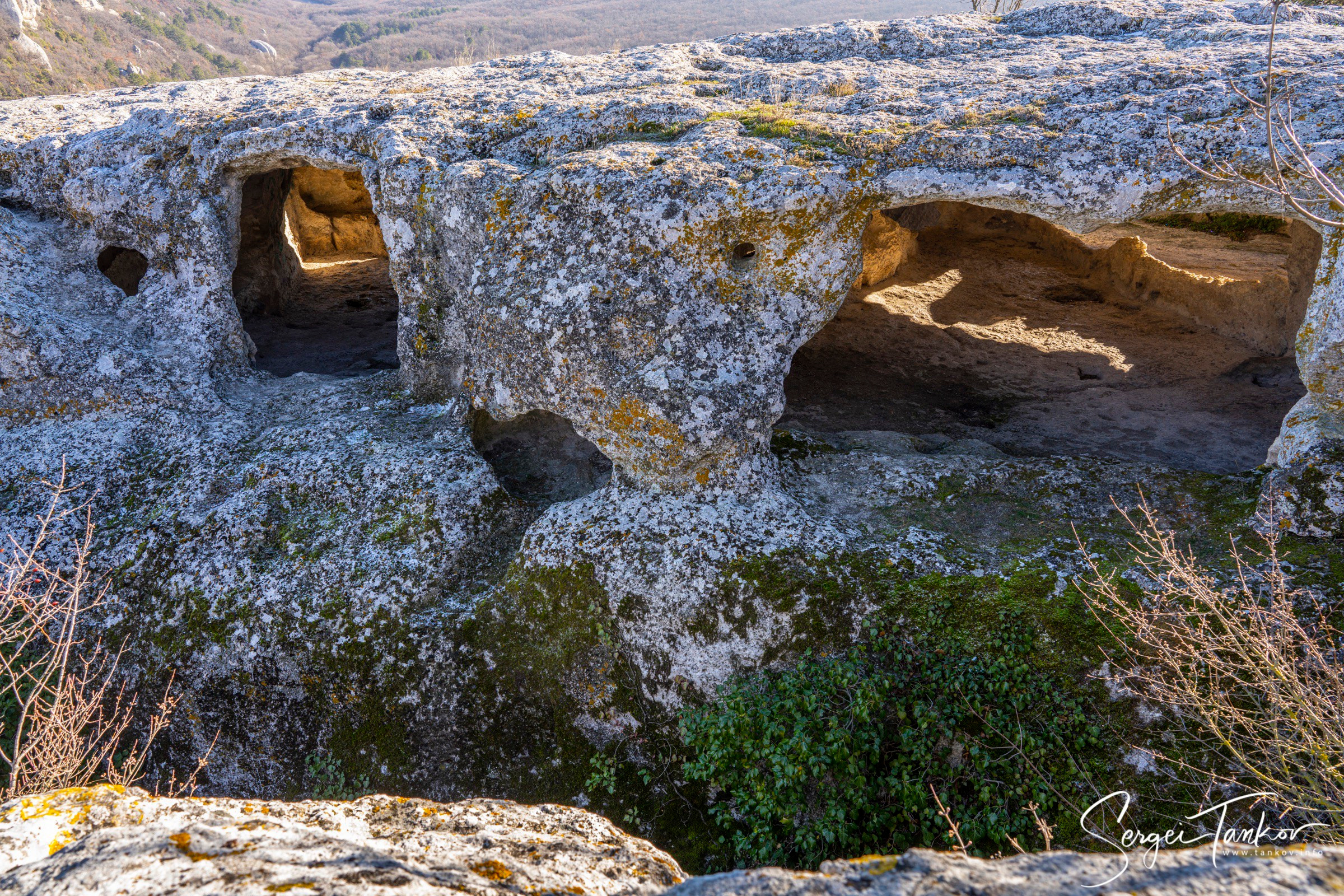 Крым (январь 2020). Фотограф Сергей Танков