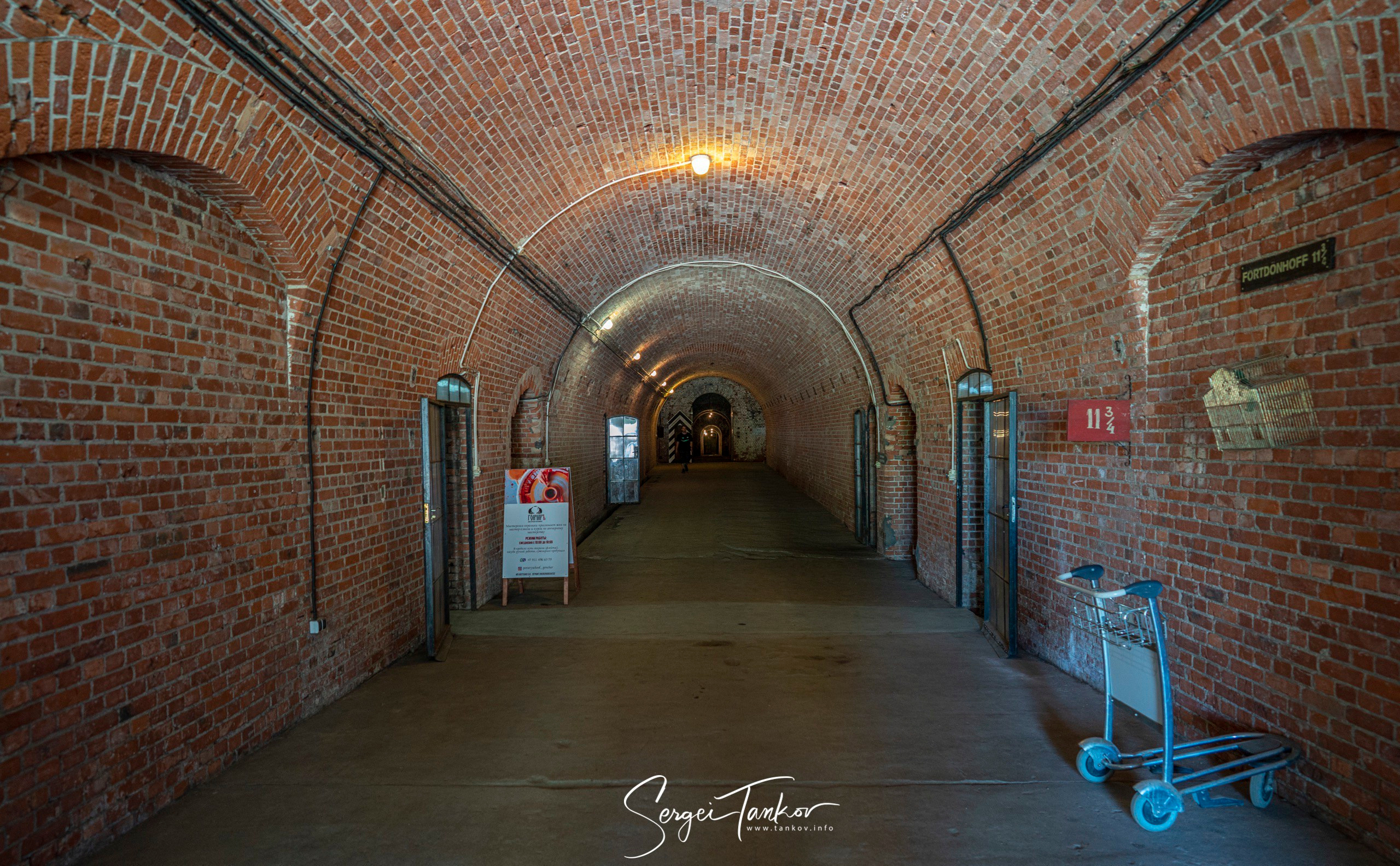 Калининград (июнь 2019). Фотограф Сергей Танков