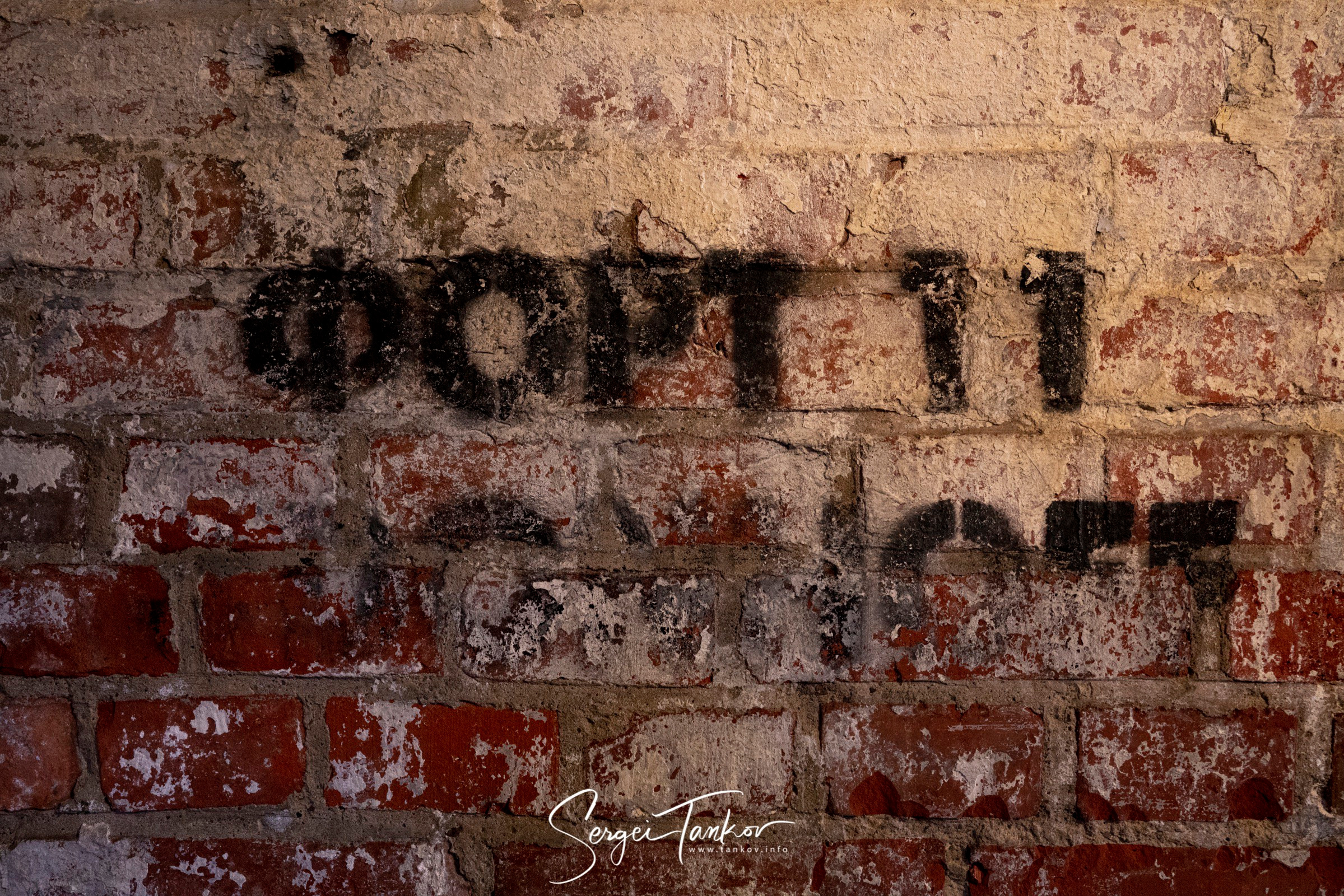 Калининград (июнь 2019). Фотограф Сергей Танков