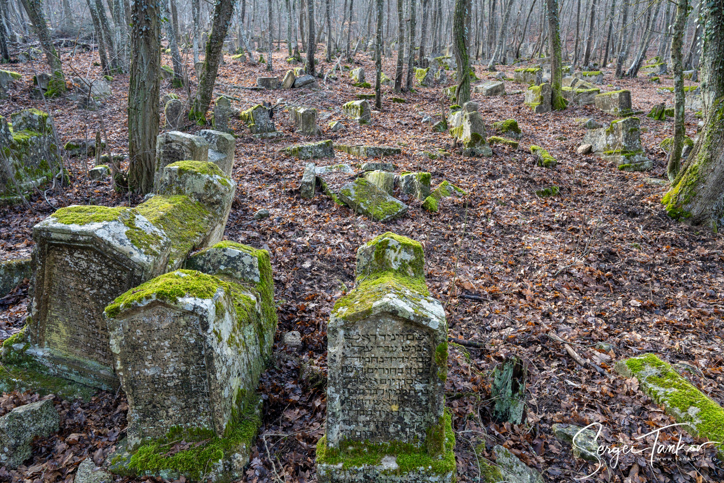 Крым (январь 2020). Фотограф Сергей Танков