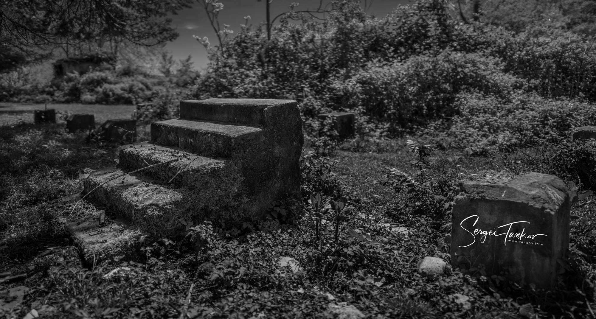 Абхазия (май 2019). Фотограф Сергей Танков