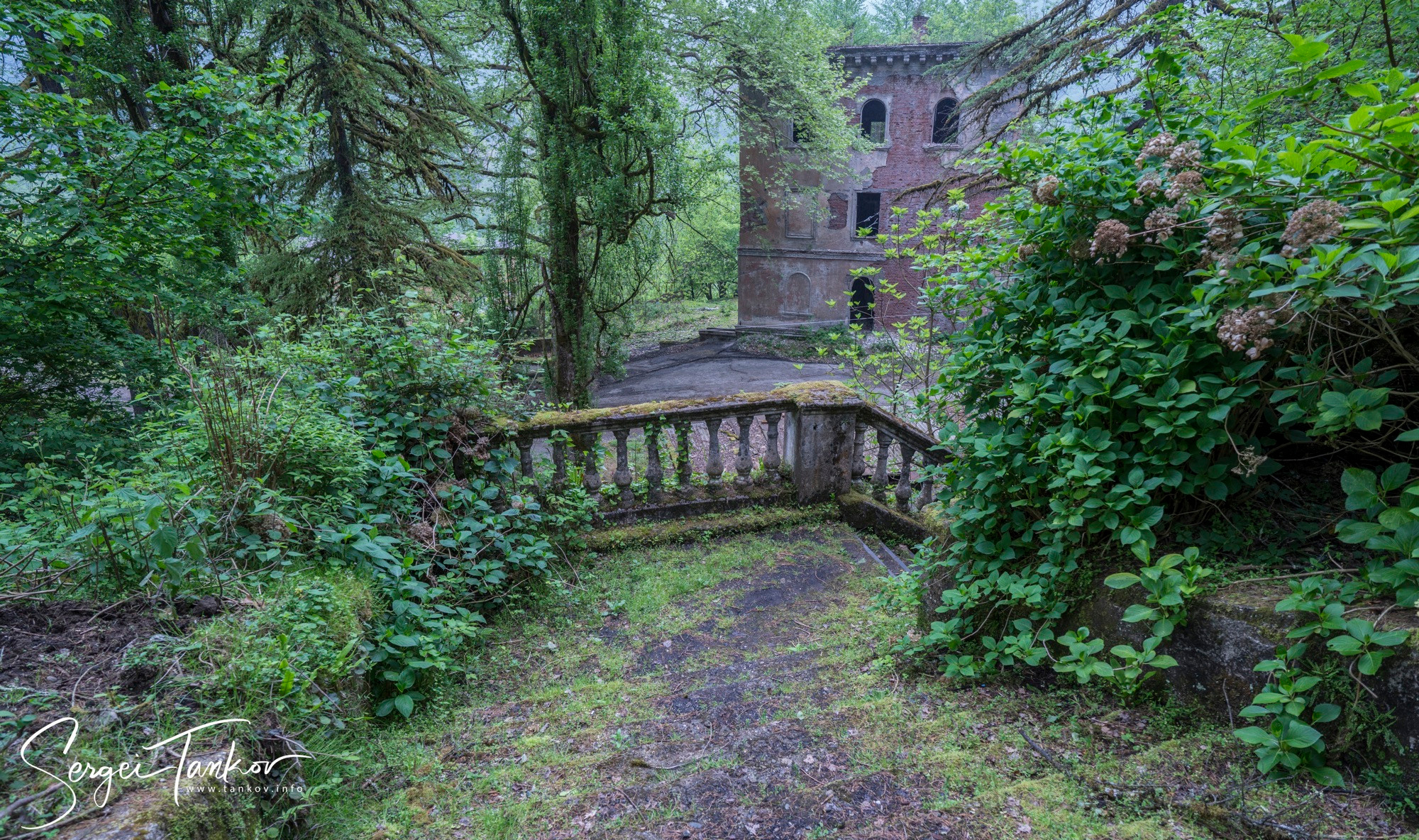 Абхазия (май 2019). Фотограф Сергей Танков