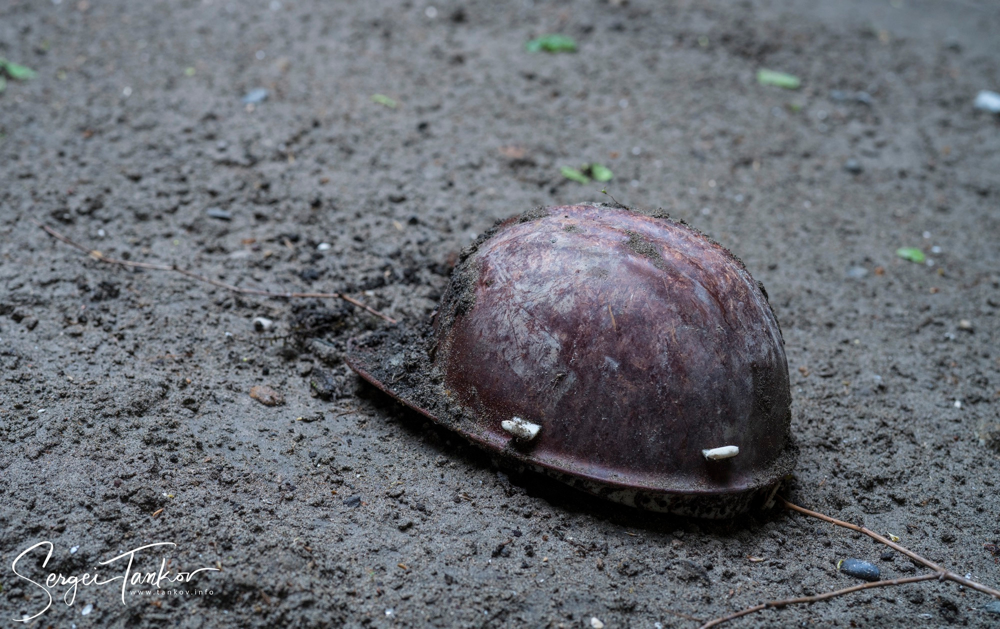 Абхазия (май 2019). Фотограф Сергей Танков