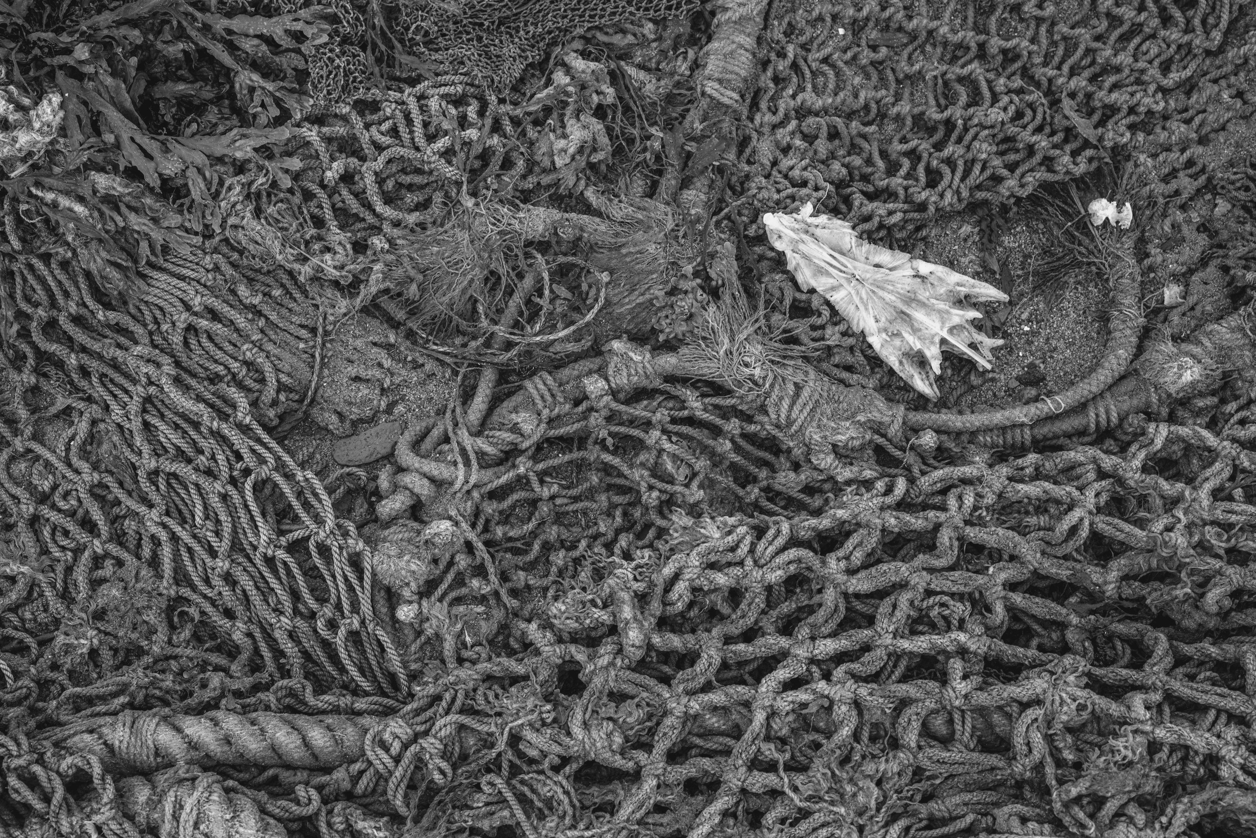 Териберка (октябрь 2020). Фотограф Сергей Танков