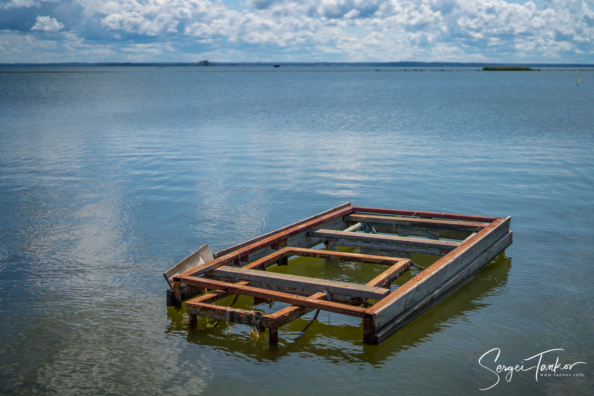Калининград (июнь 2019). Фотограф Сергей Танков