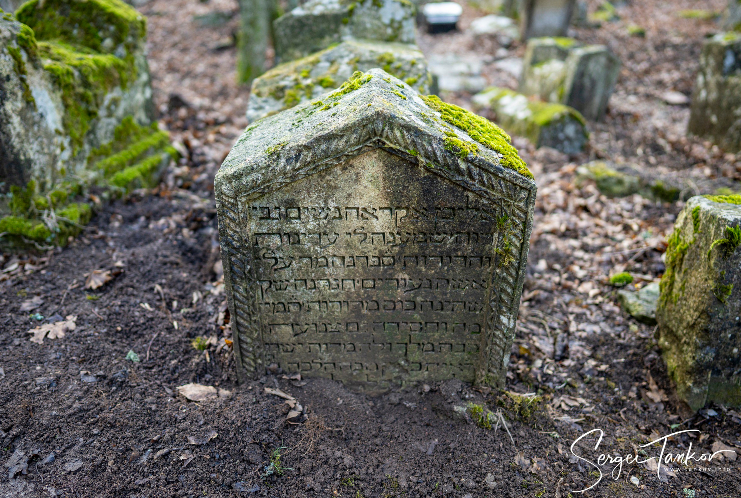 Крым (январь 2020). Фотограф Сергей Танков