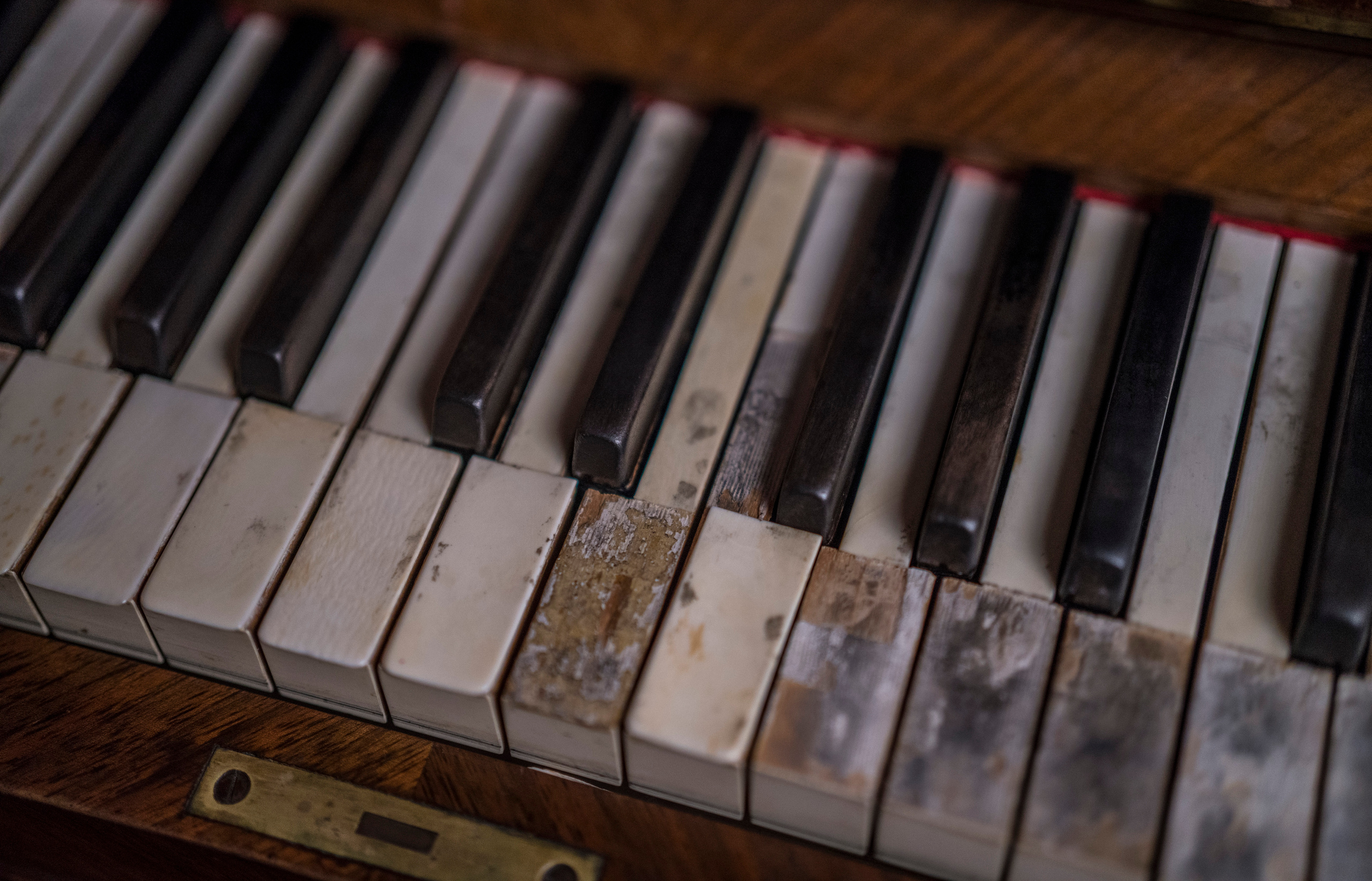 Дашков 5. Фотограф Сергей Танков