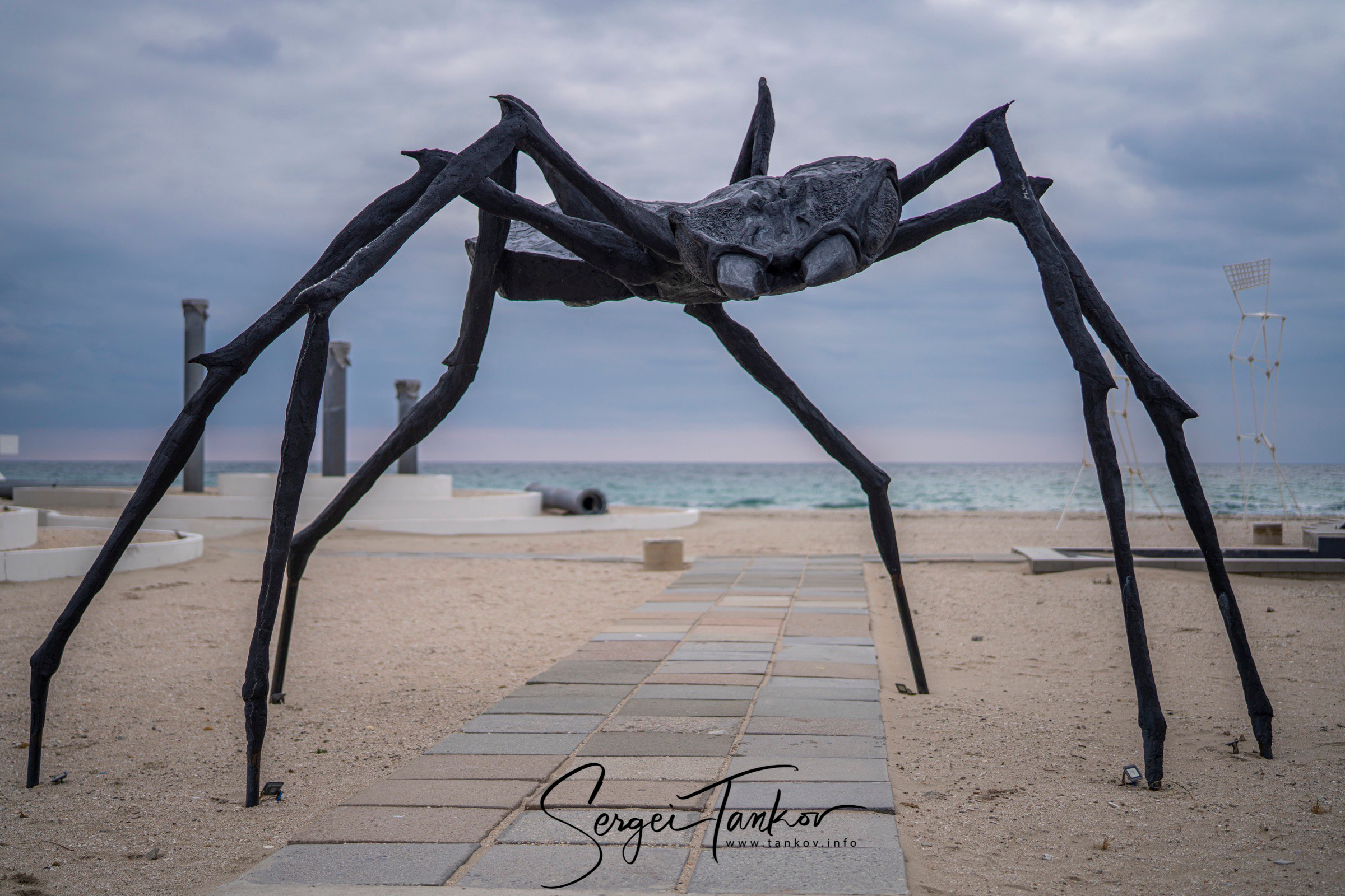 Крым (январь 2020). Фотограф Сергей Танков