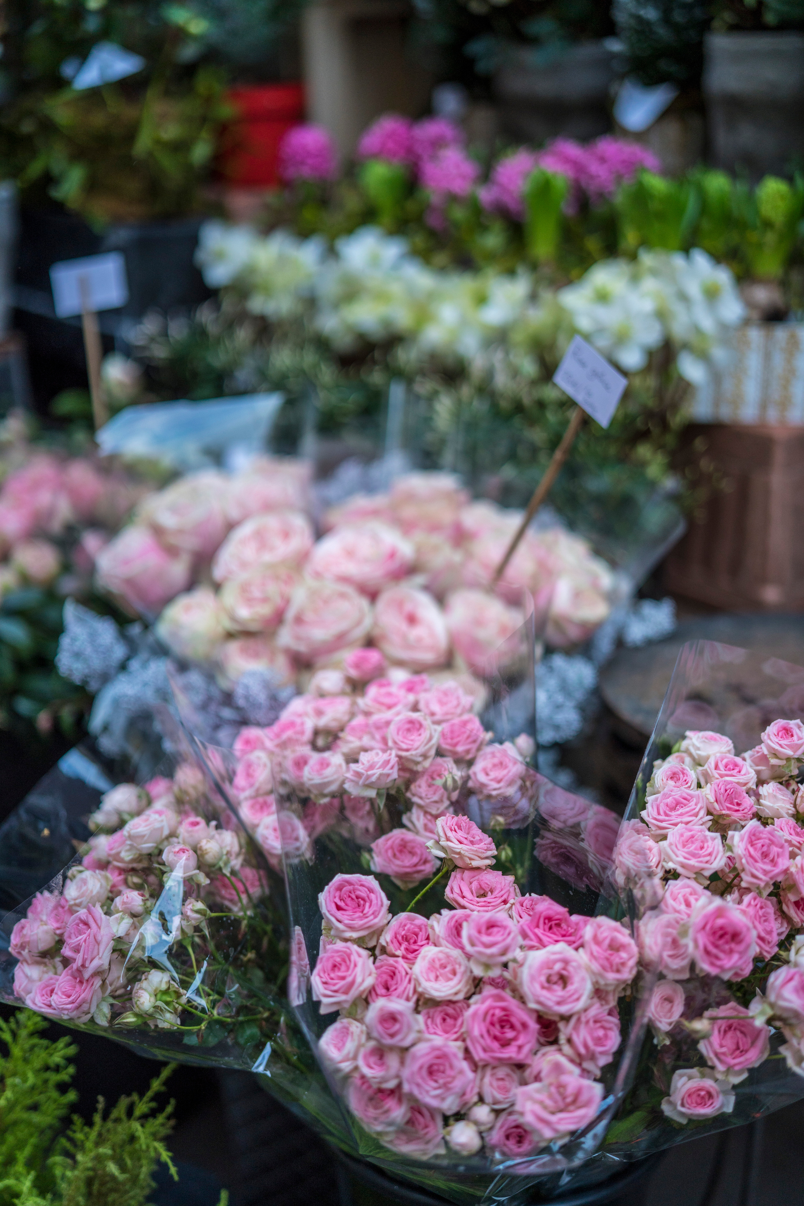 Париж (январь 2019). Фотограф Сергей Танков
