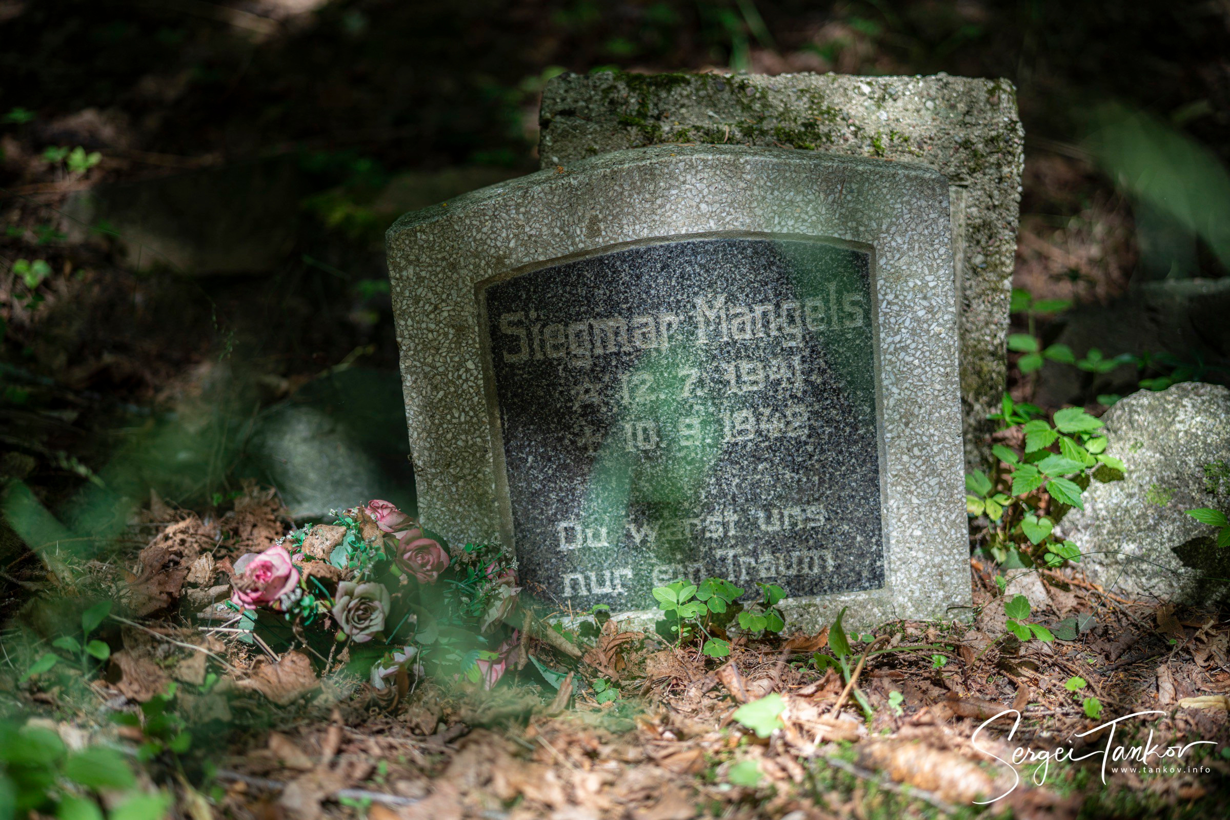 Калининград (июнь 2019). Фотограф Сергей Танков