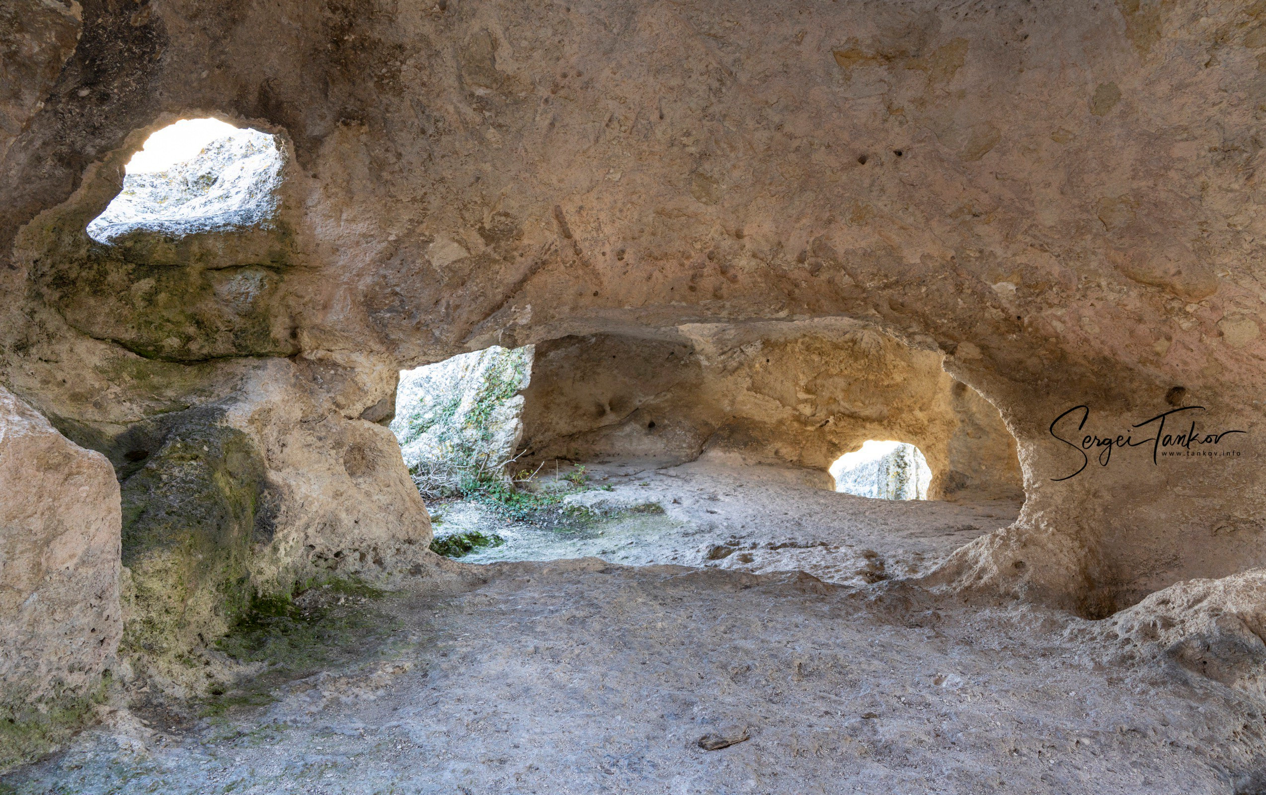 Крым (январь 2020). Фотограф Сергей Танков
