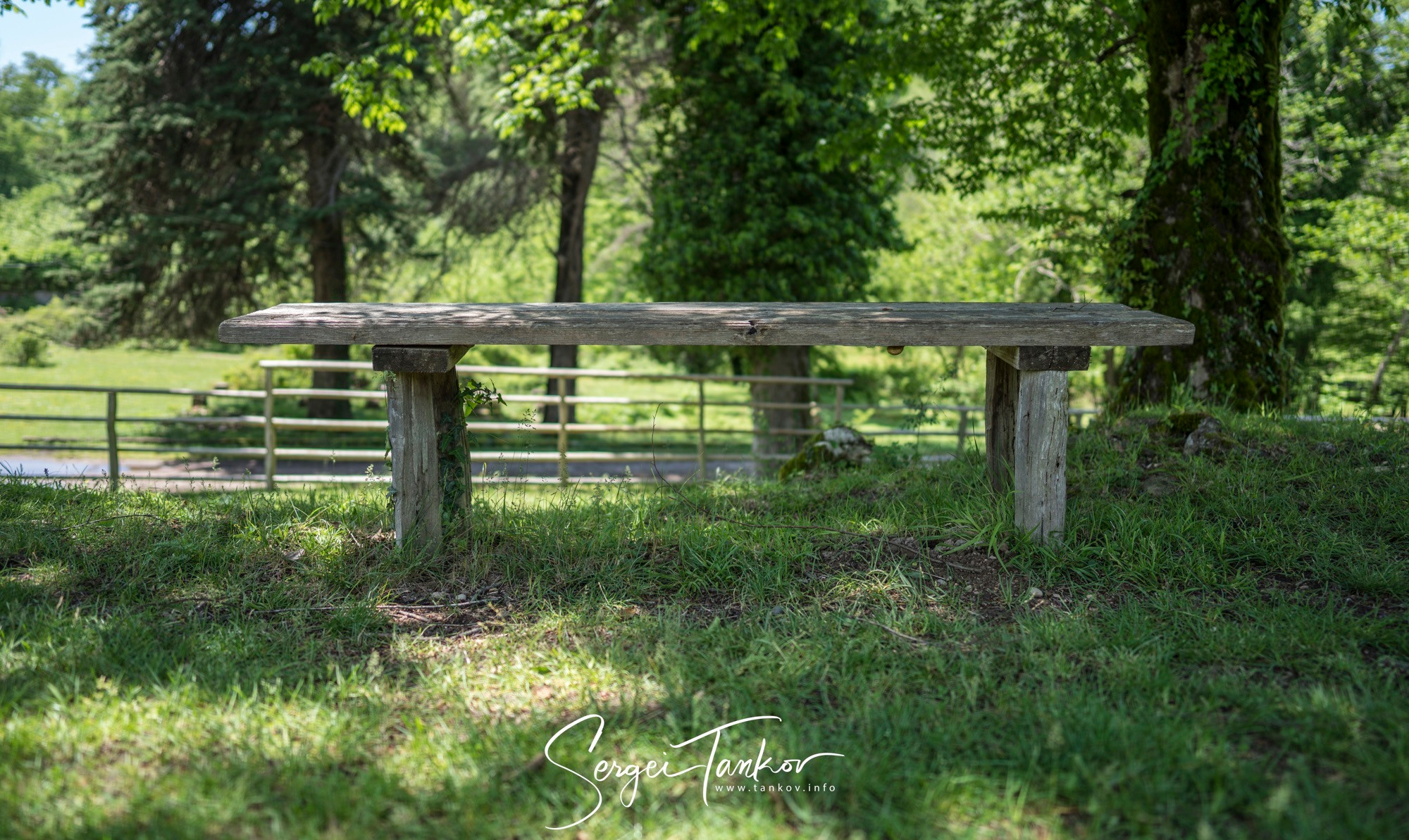 Абхазия (май 2019). Фотограф Сергей Танков