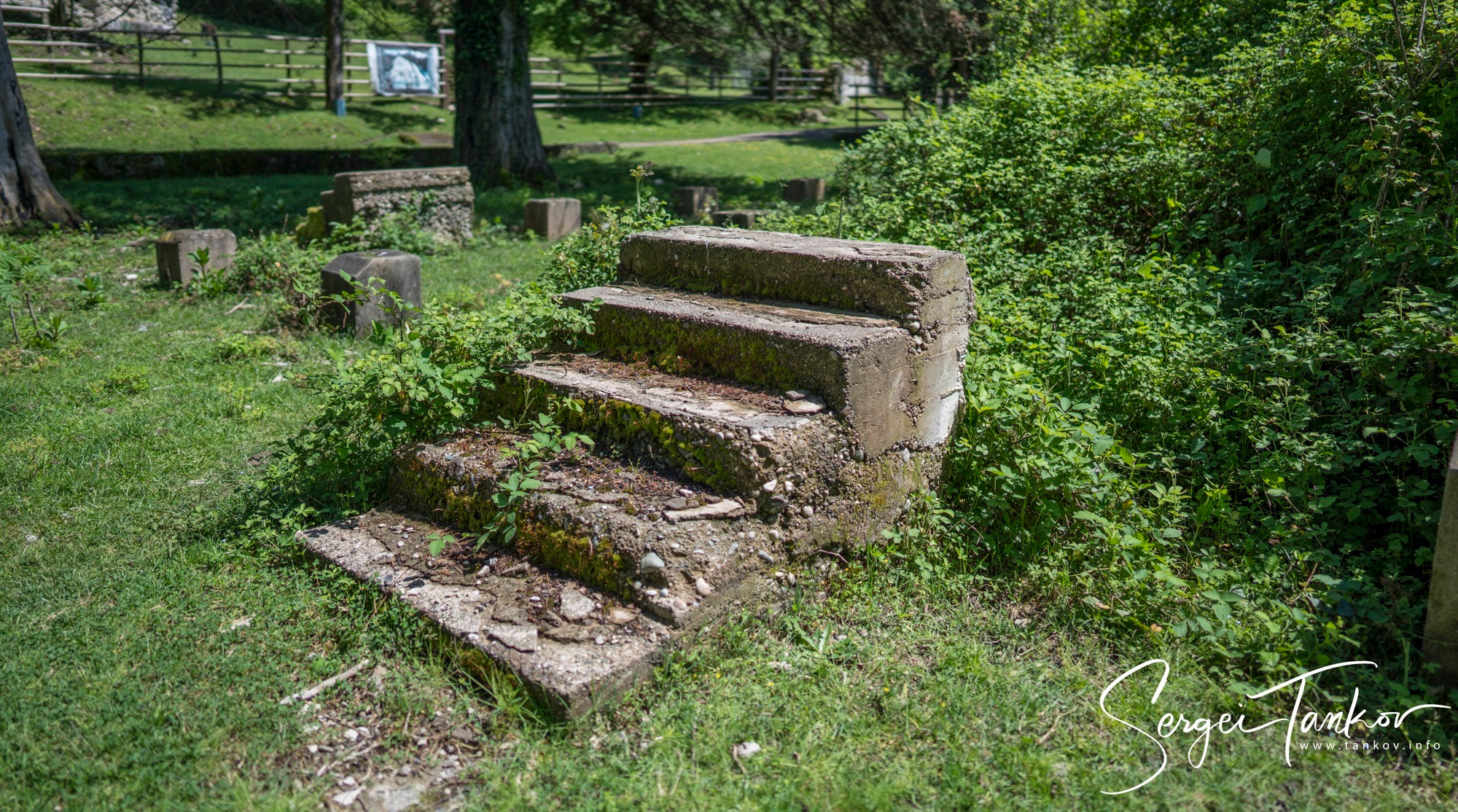 Абхазия (май 2019). Фотограф Сергей Танков