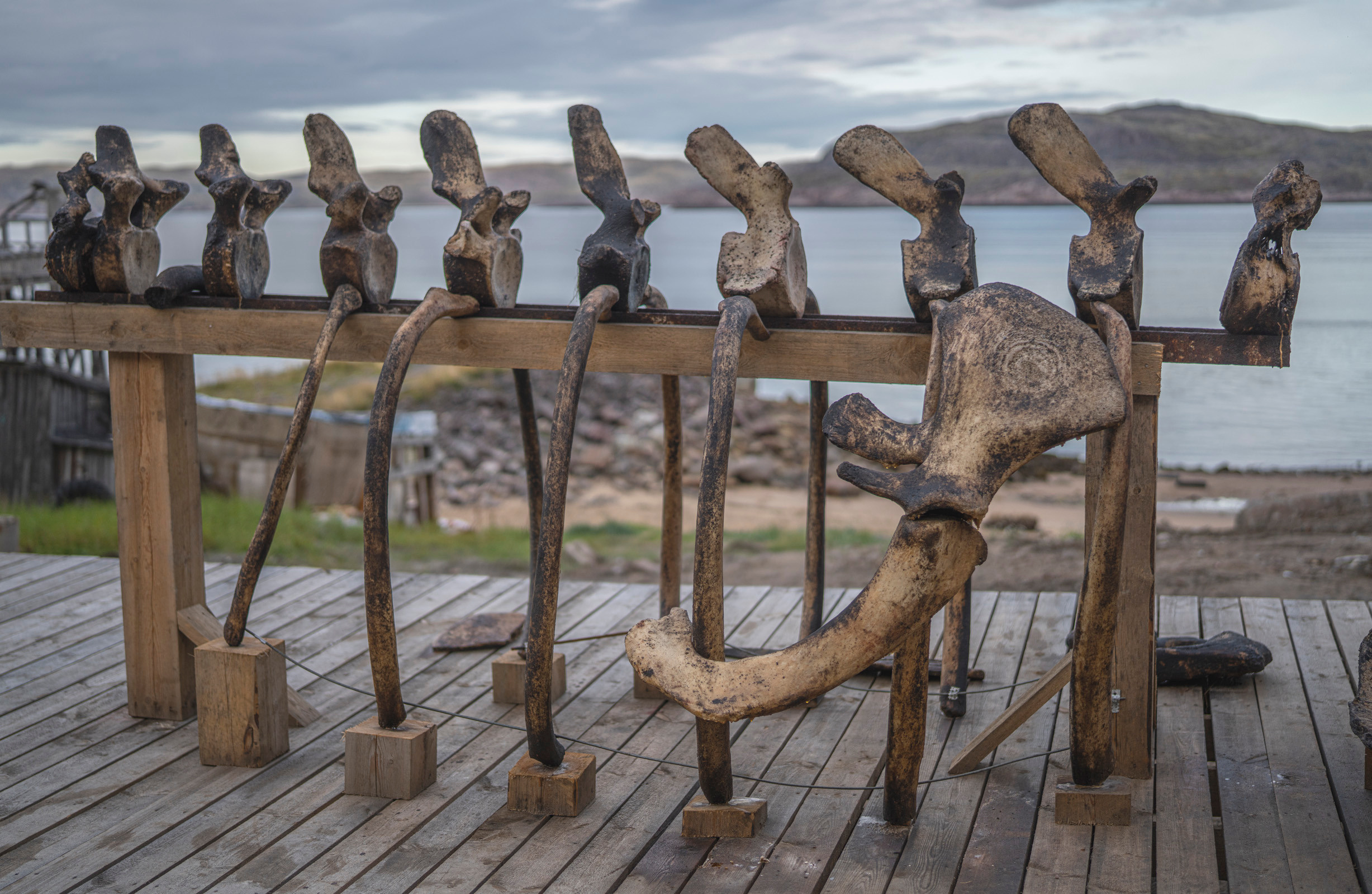 Териберка (октябрь 2020). Фотограф Сергей Танков