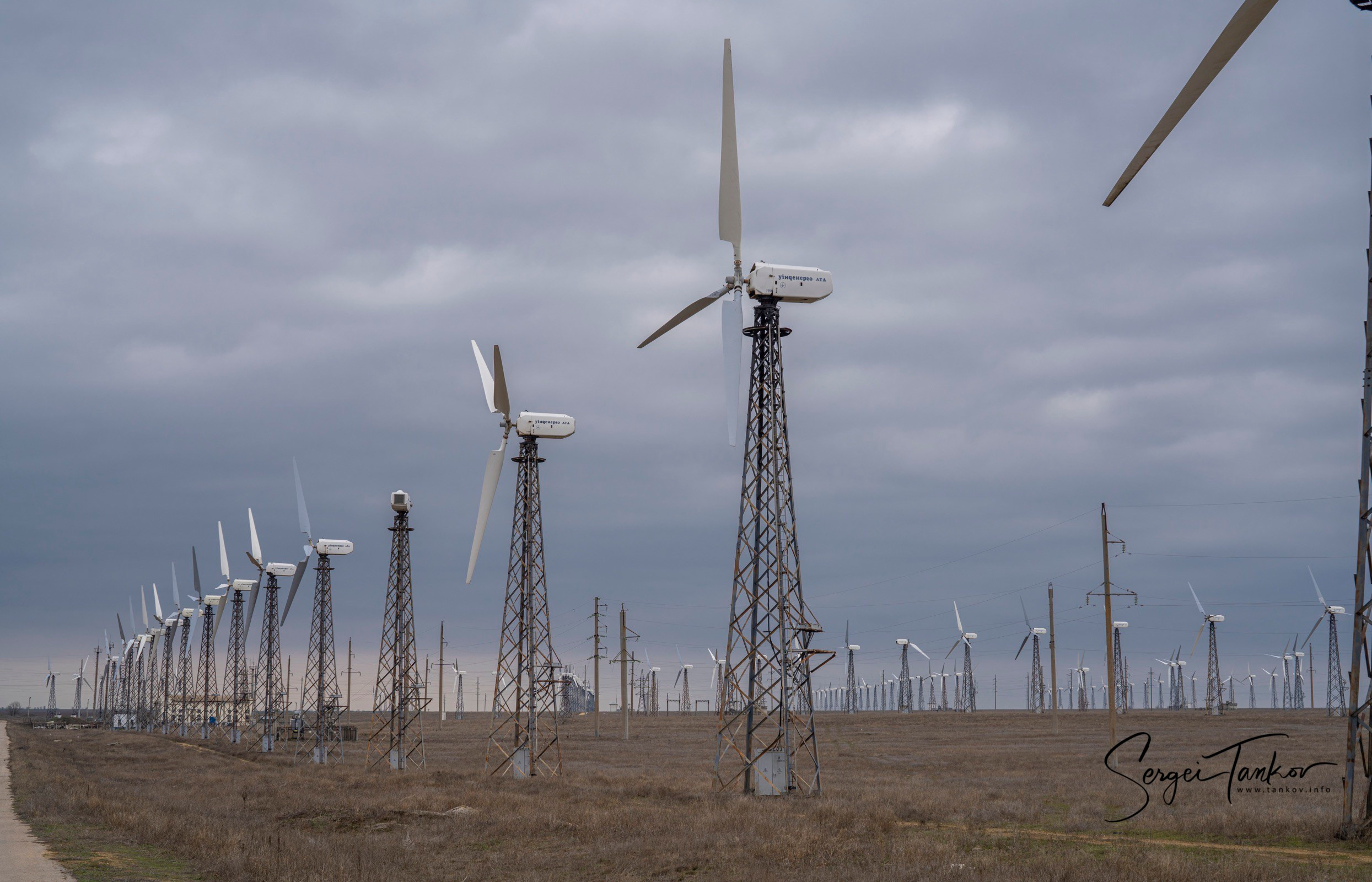 Крым (январь 2020). Фотограф Сергей Танков