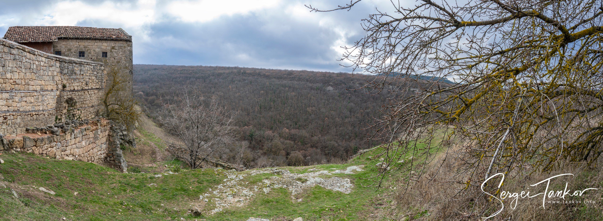 Крым (январь 2020). Фотограф Сергей Танков