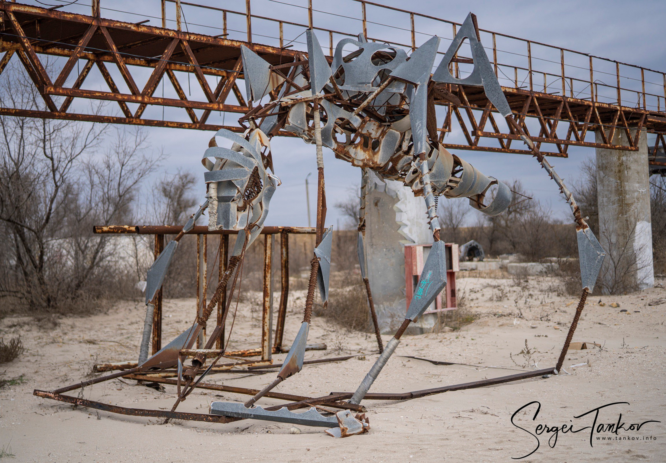 Крым (январь 2020). Фотограф Сергей Танков