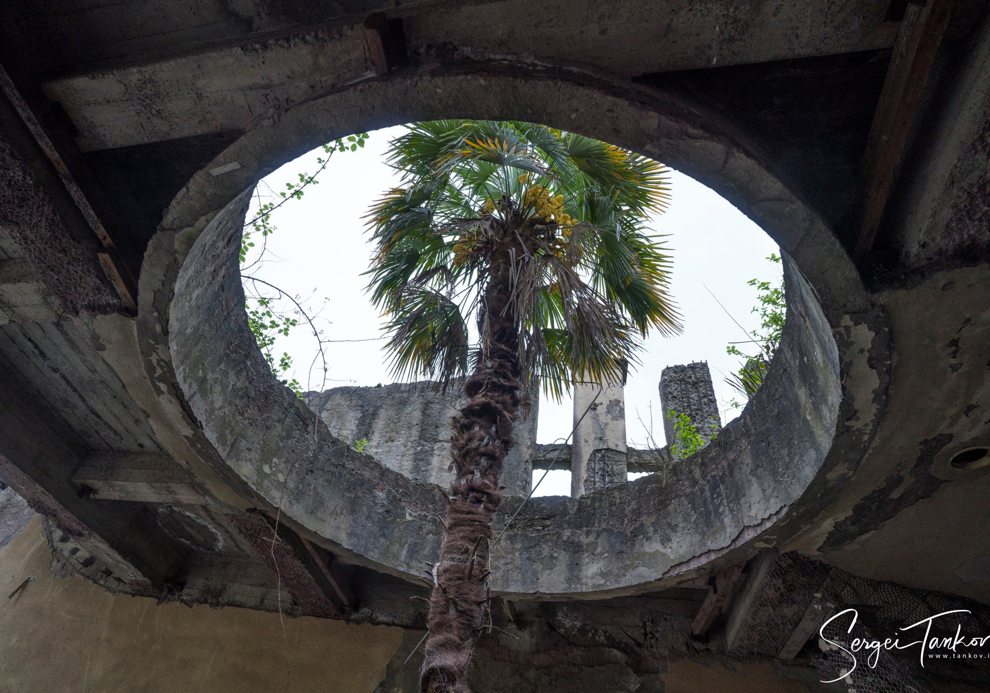 Абхазия (май 2019). Фотограф Сергей Танков