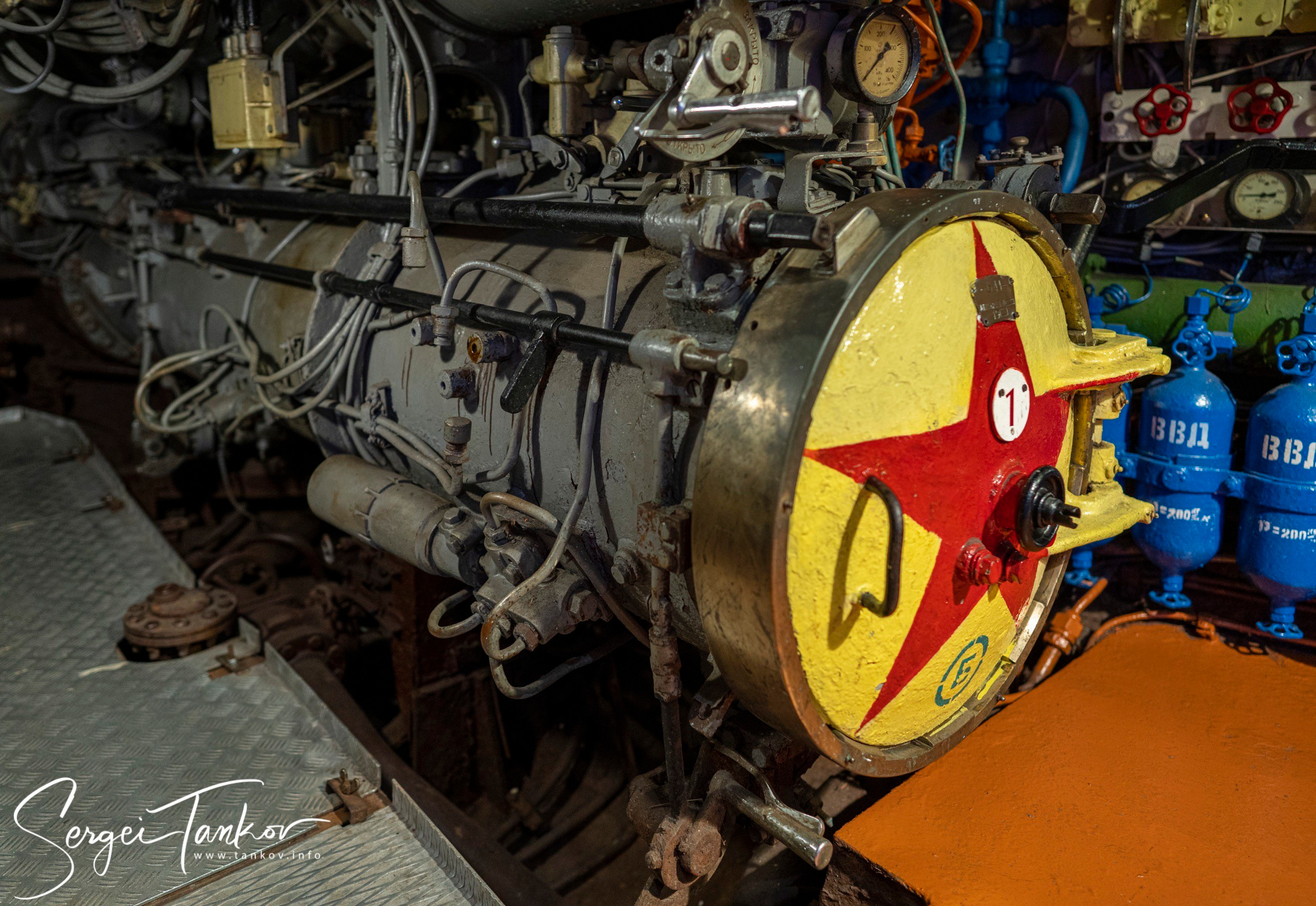 Калининград (июнь 2019). Фотограф Сергей Танков