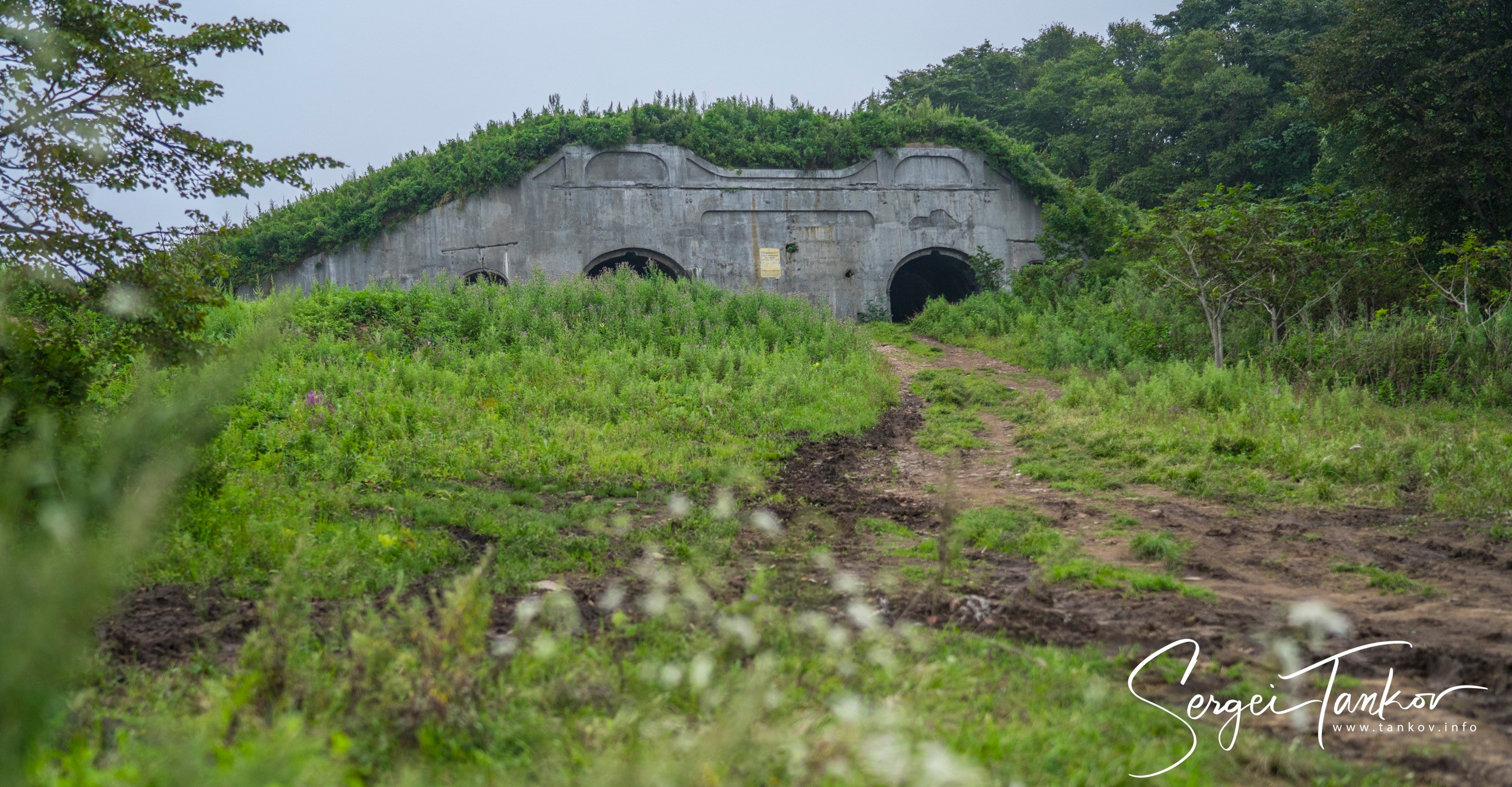 Владивосток (сентябрь 2019). Фотограф Сергей Танков