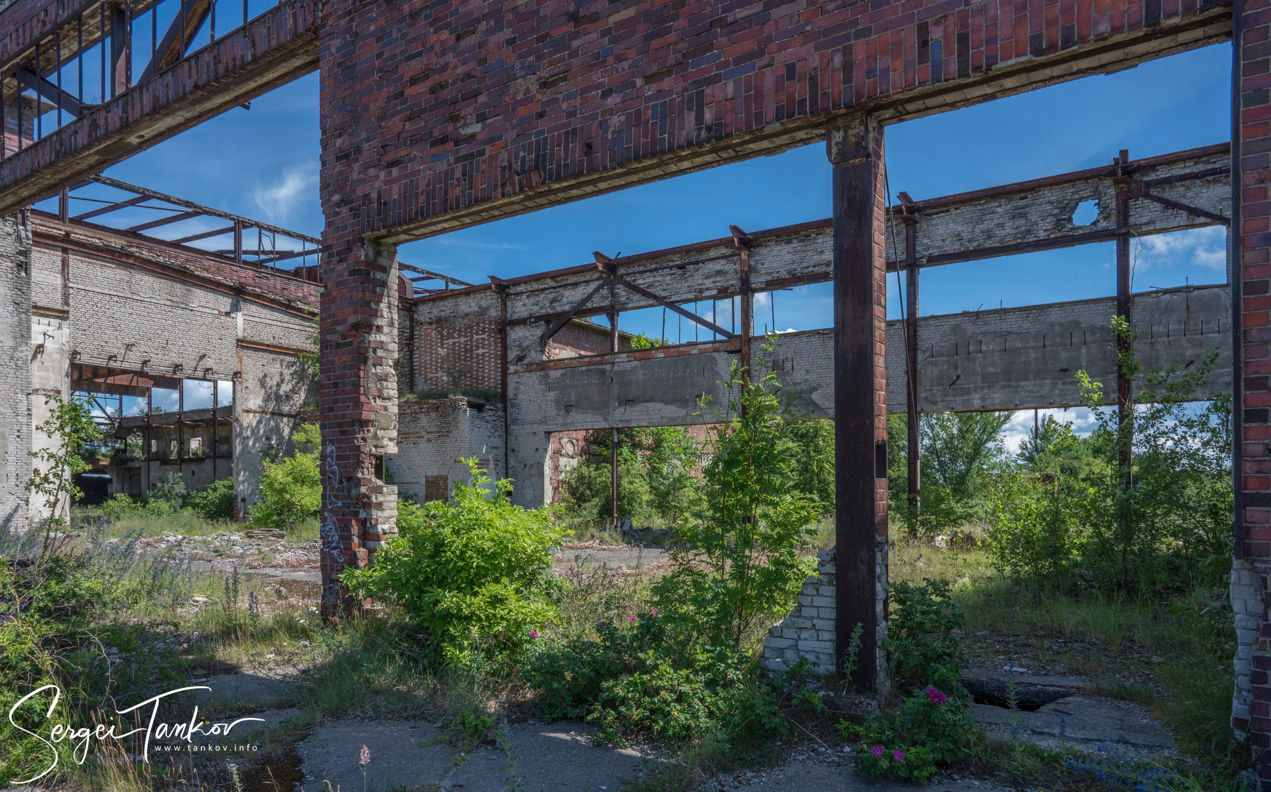 Калининград (июнь 2019). Фотограф Сергей Танков