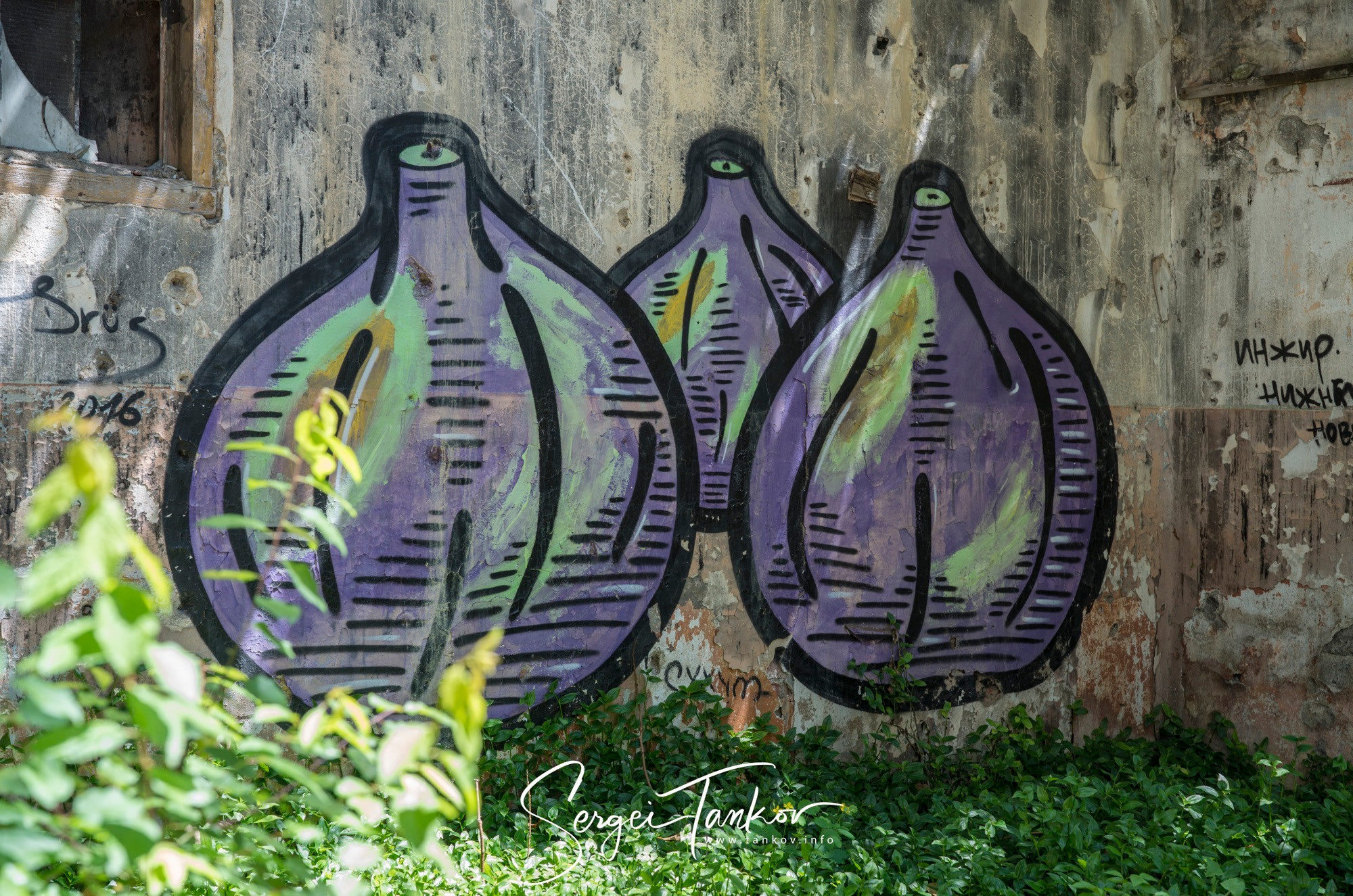 Абхазия (май 2019). Фотограф Сергей Танков