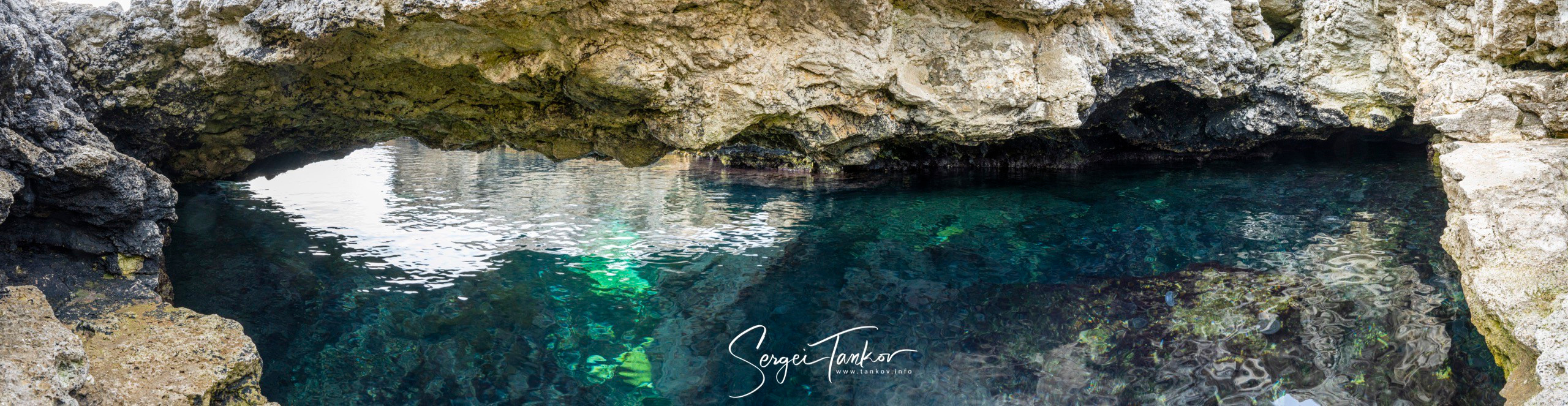 Крым (январь 2020). Фотограф Сергей Танков